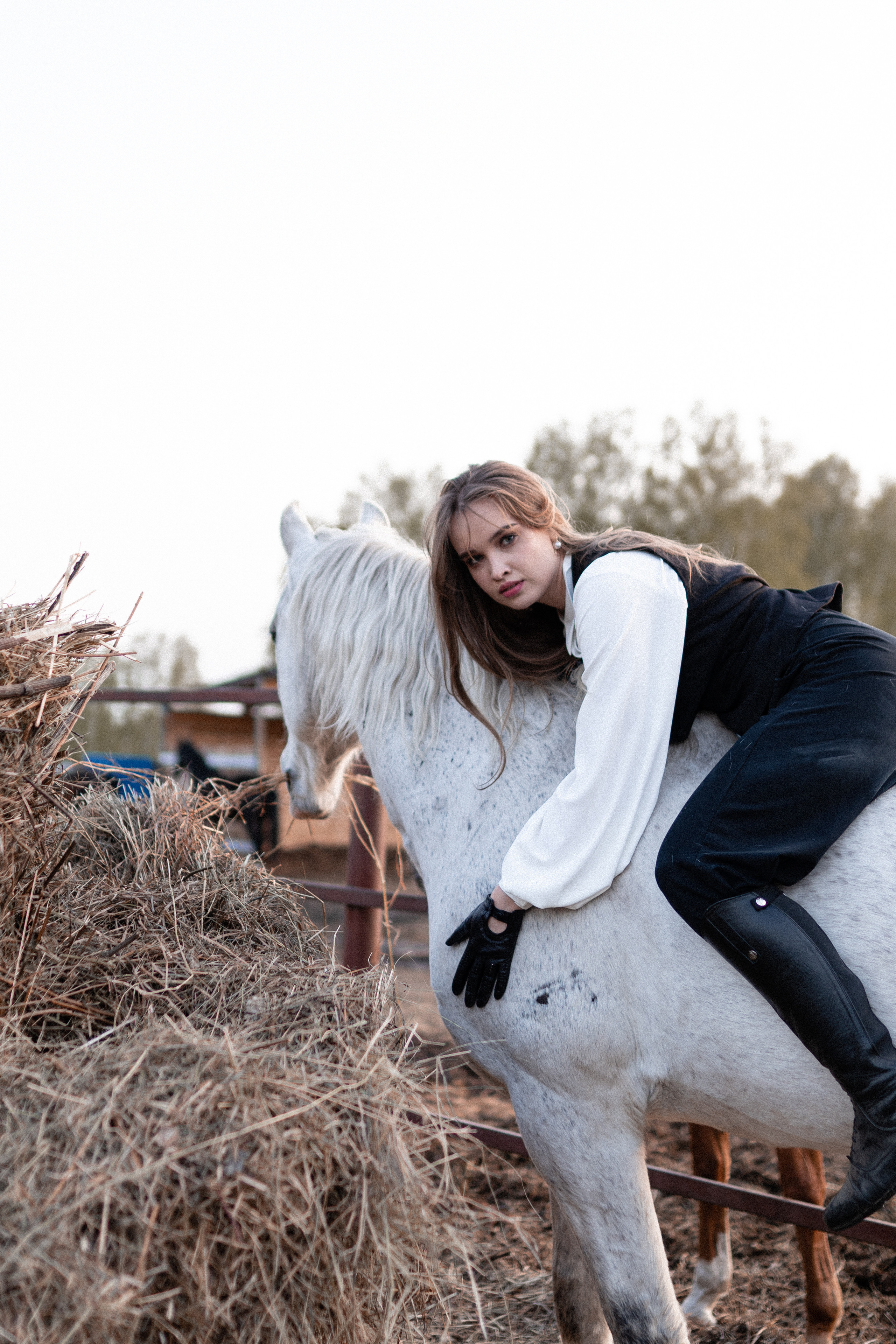Екатерина, Прогон, Пепел. Фотосессии с лошадьми в Москве, Новосибирске