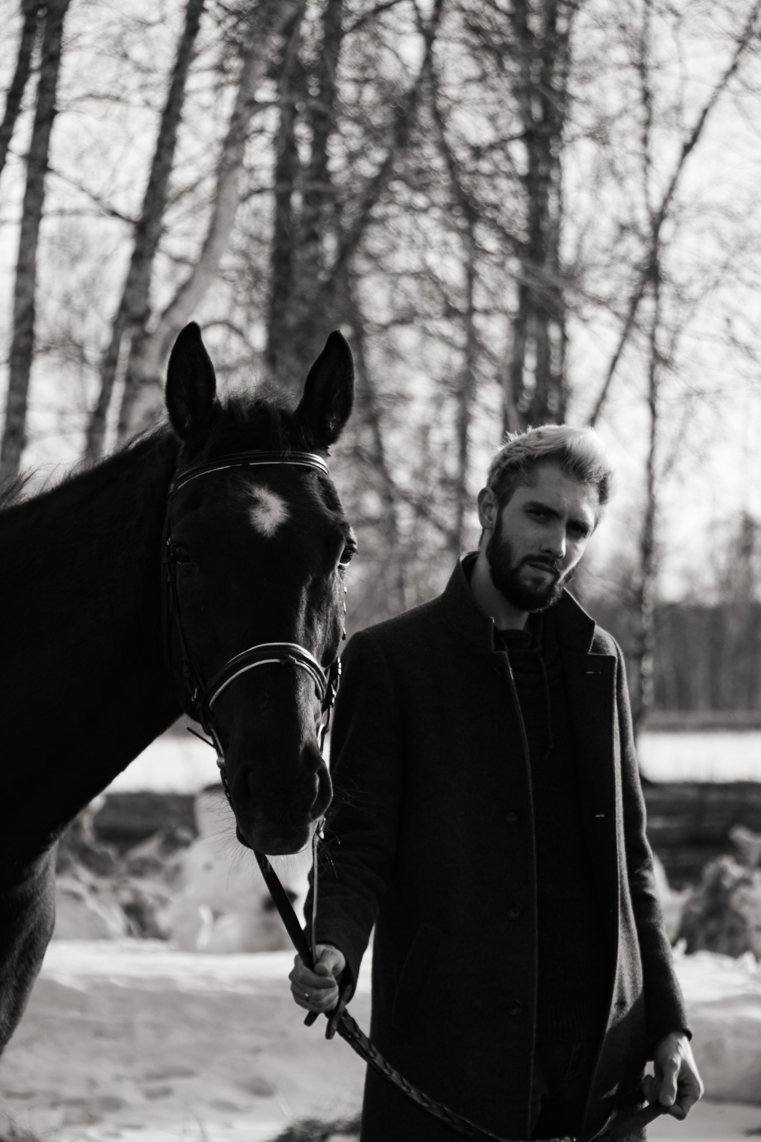 Юрий Бойченко и Шаде. Фотосессии с лошадьми в Москве, Новосибирске