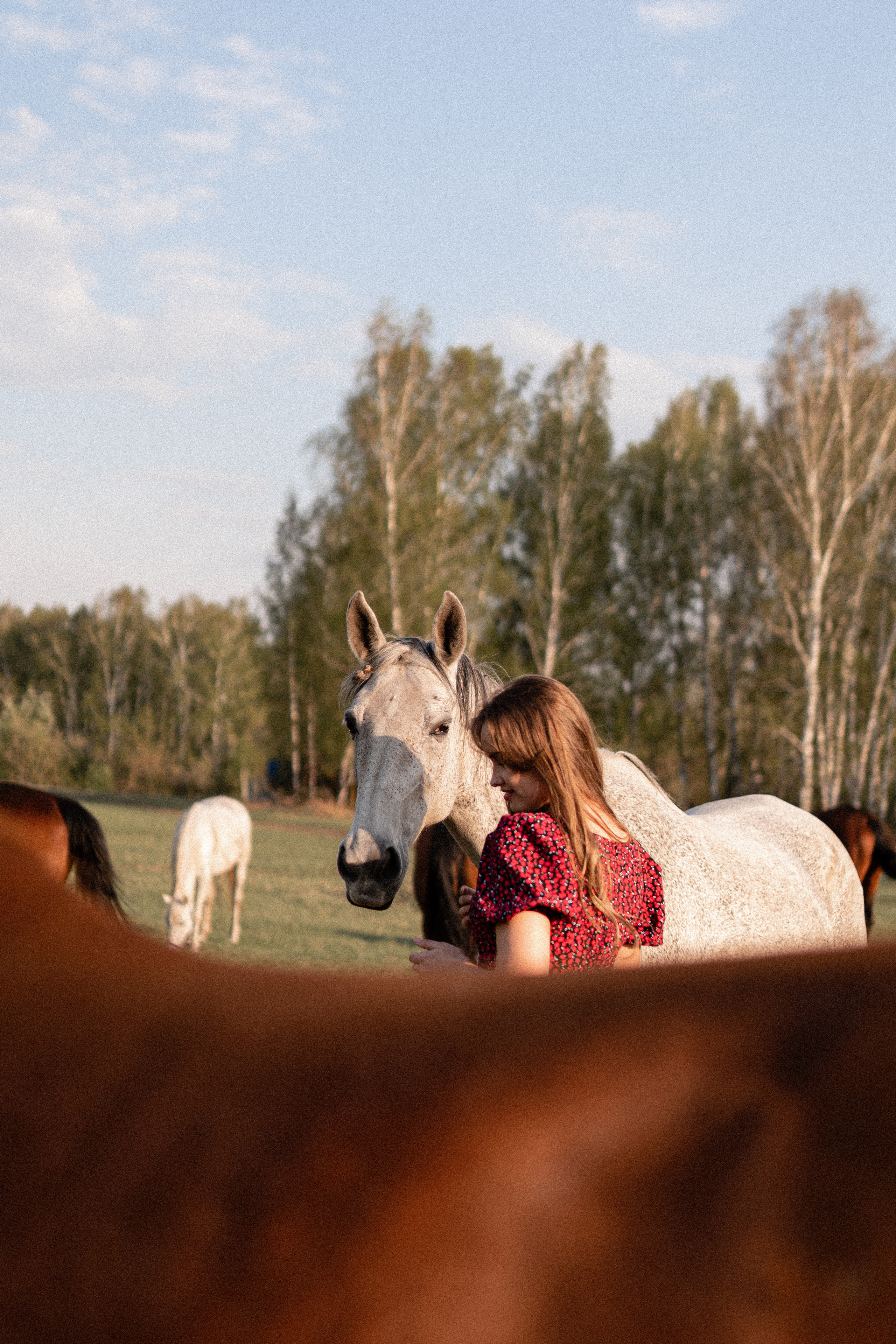 Екатерина в табуне. Фотосессии с лошадьми в Москве, Новосибирске