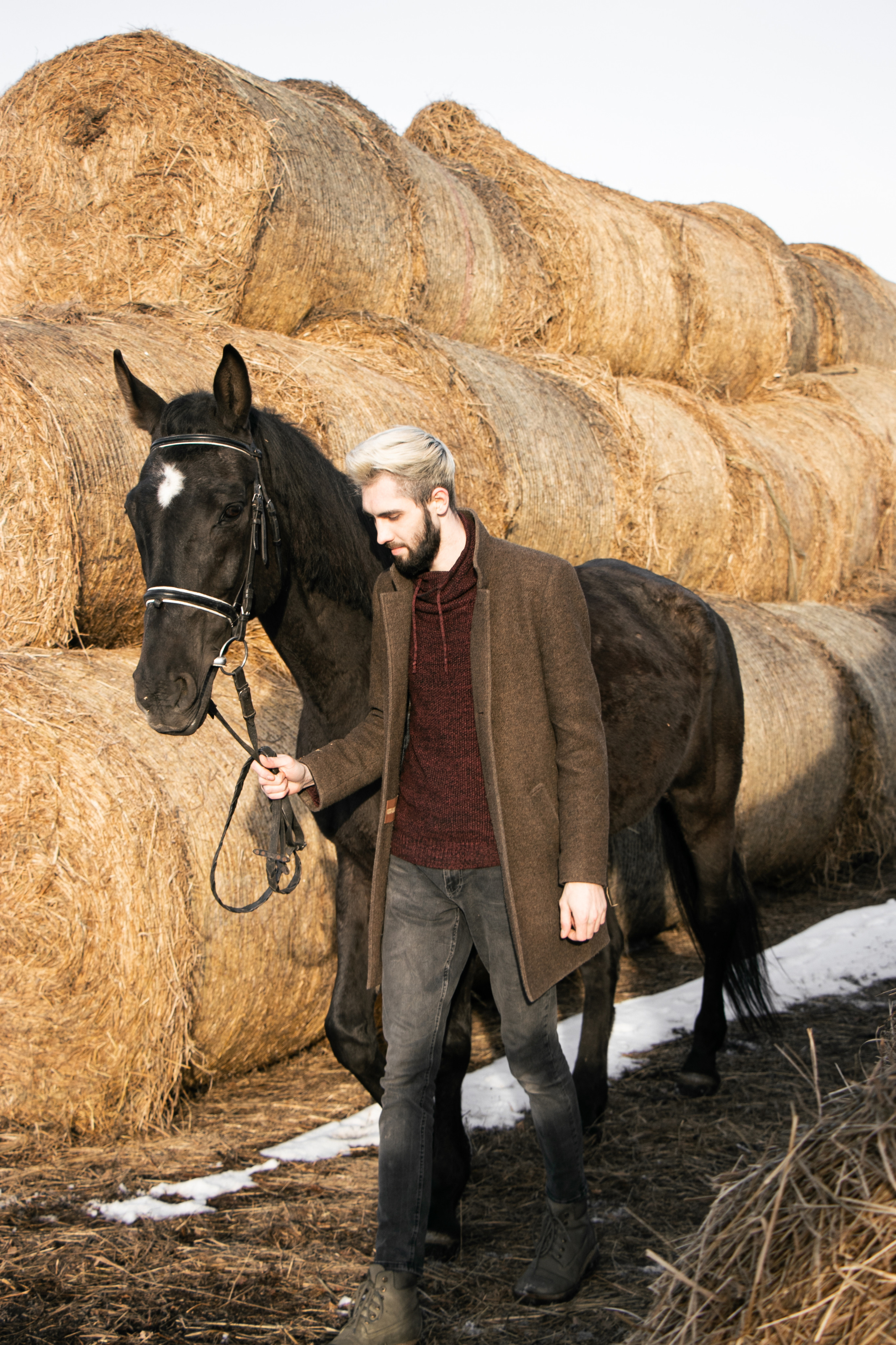Юрий Бойченко и Шаде. Фотосессии с лошадьми в Москве, Новосибирске