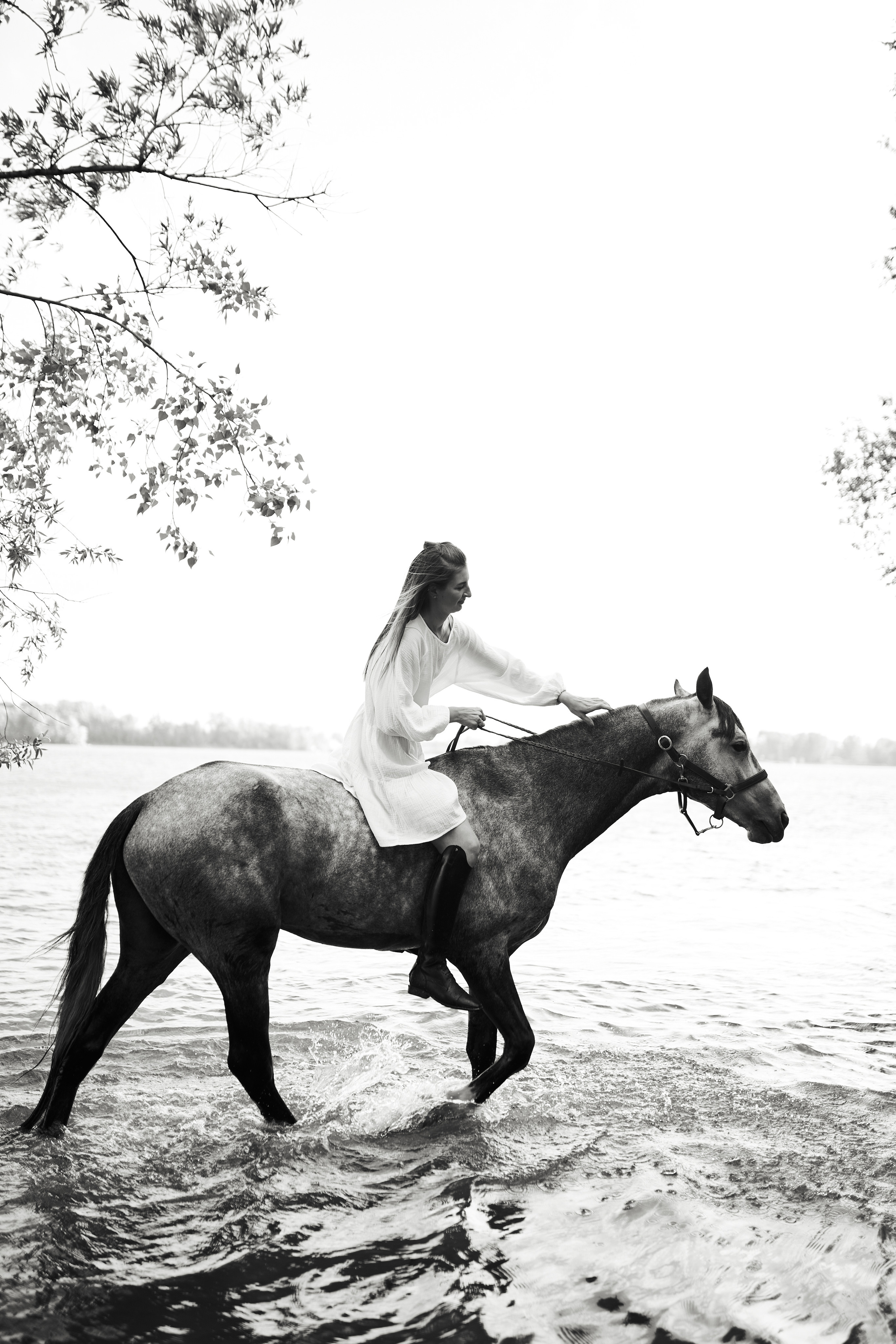 Оля Панченко и Кондор. Фотосессии с лошадьми в Москве, Новосибирске