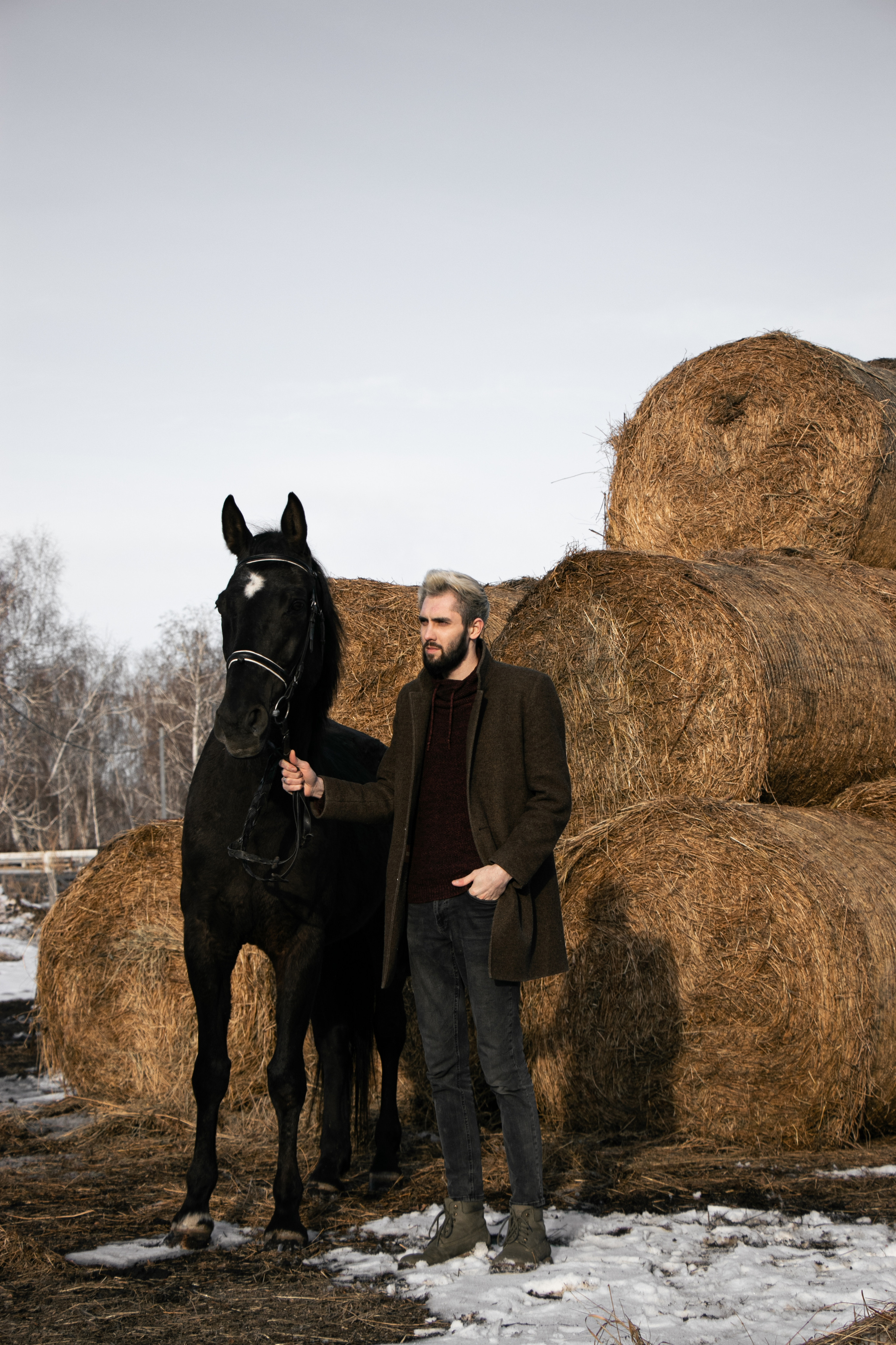 Юрий Бойченко и Шаде. Фотосессии с лошадьми в Москве, Новосибирске