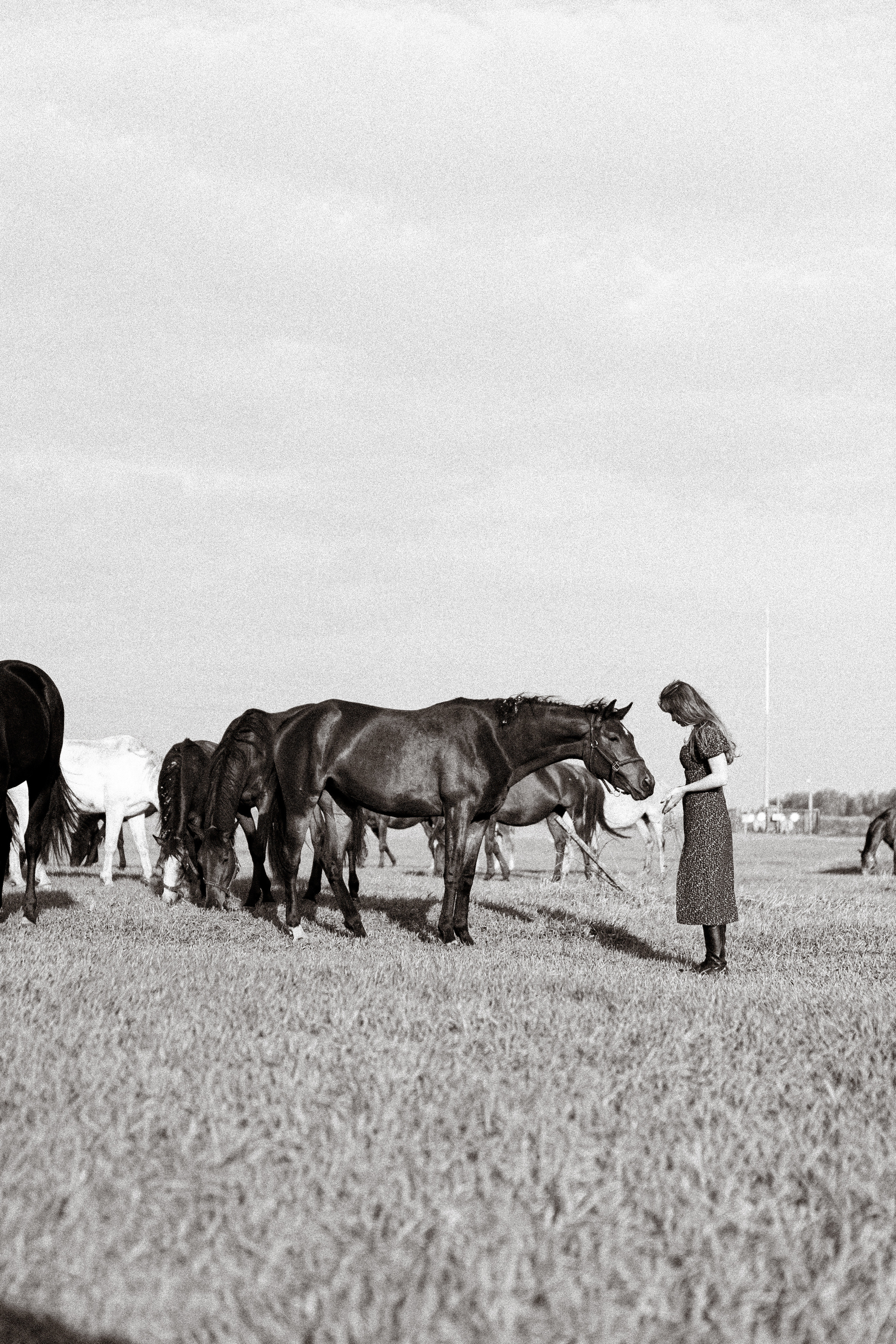 Екатерина в табуне. Фотосессии с лошадьми в Москве, Новосибирске