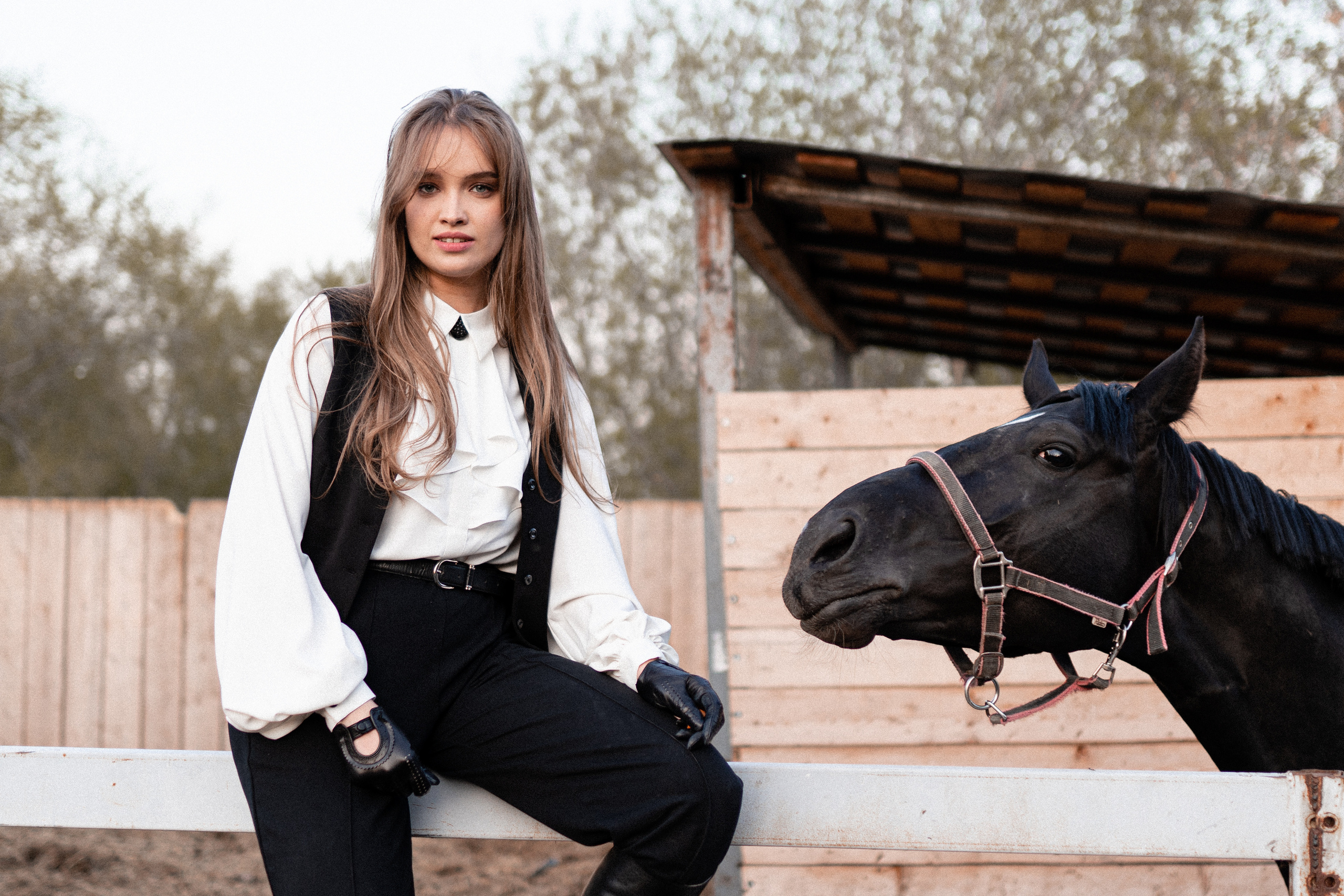 Екатерина, Прогон, Пепел. Фотосессии с лошадьми в Москве, Новосибирске