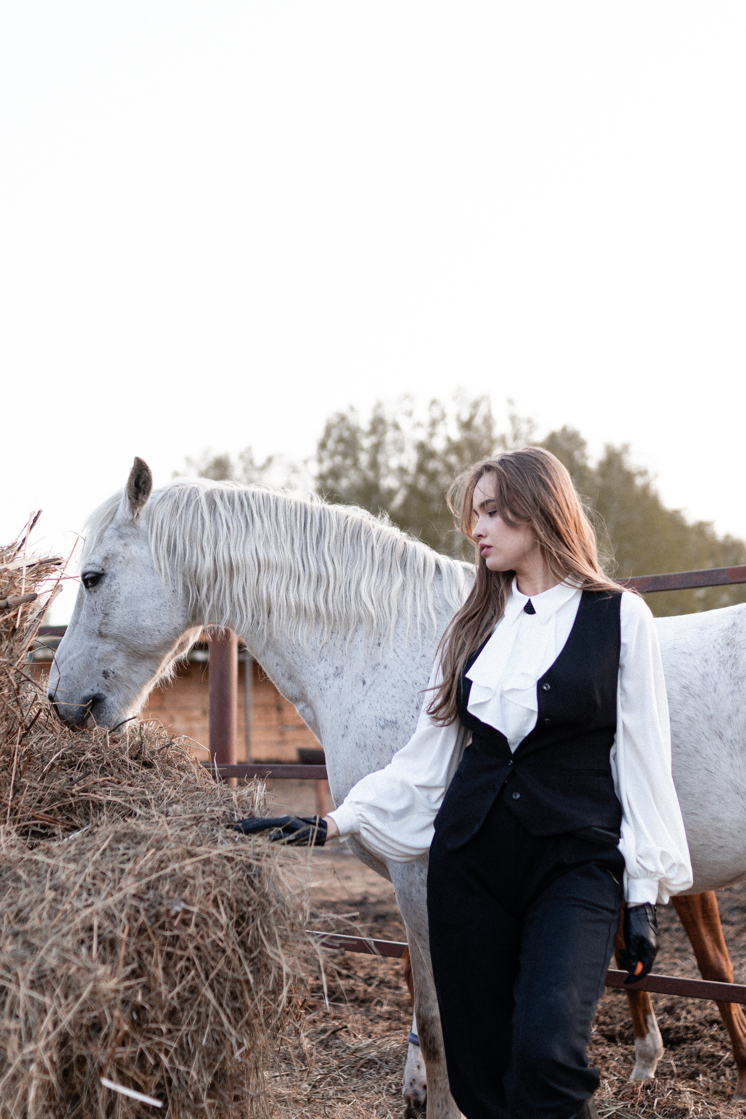 Екатерина, Прогон, Пепел. Фотосессии с лошадьми в Москве, Новосибирске