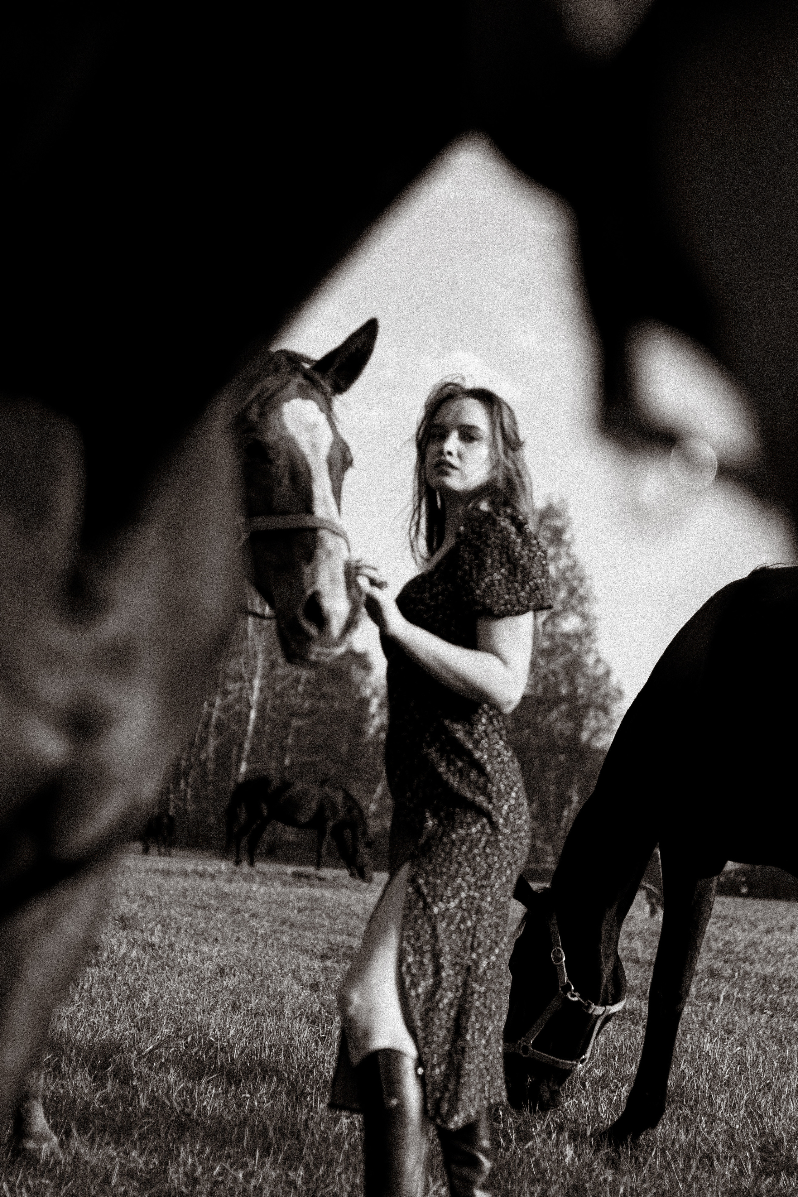 Екатерина в табуне. Фотосессии с лошадьми в Москве, Новосибирске