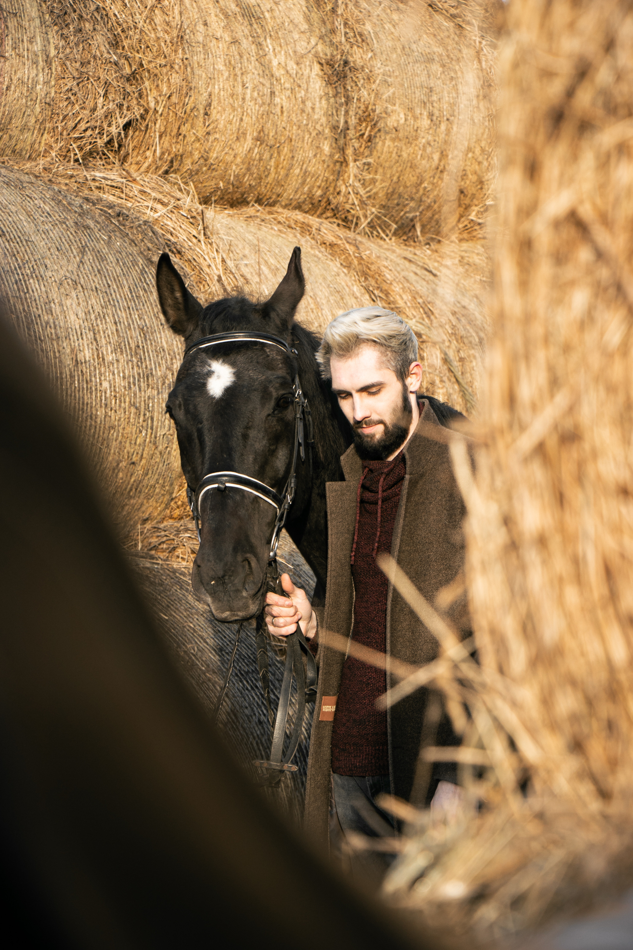 Юрий Бойченко и Шаде. Фотосессии с лошадьми в Москве, Новосибирске