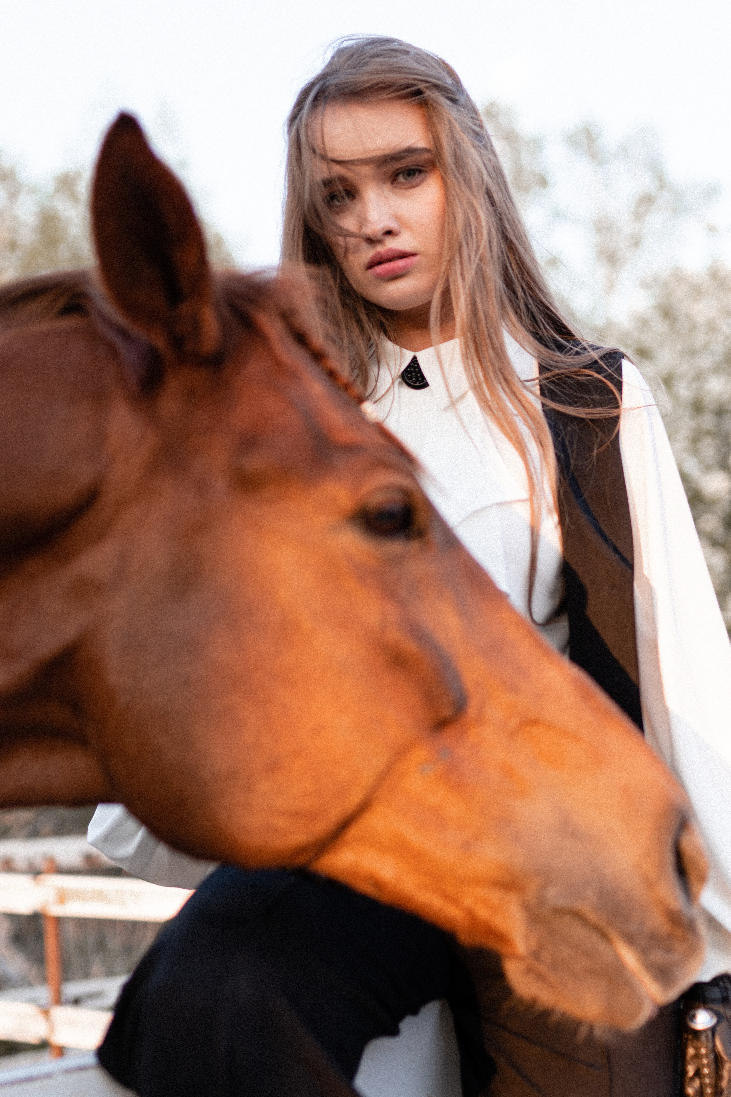 Екатерина, Прогон, Пепел. Фотосессии с лошадьми в Москве, Новосибирске