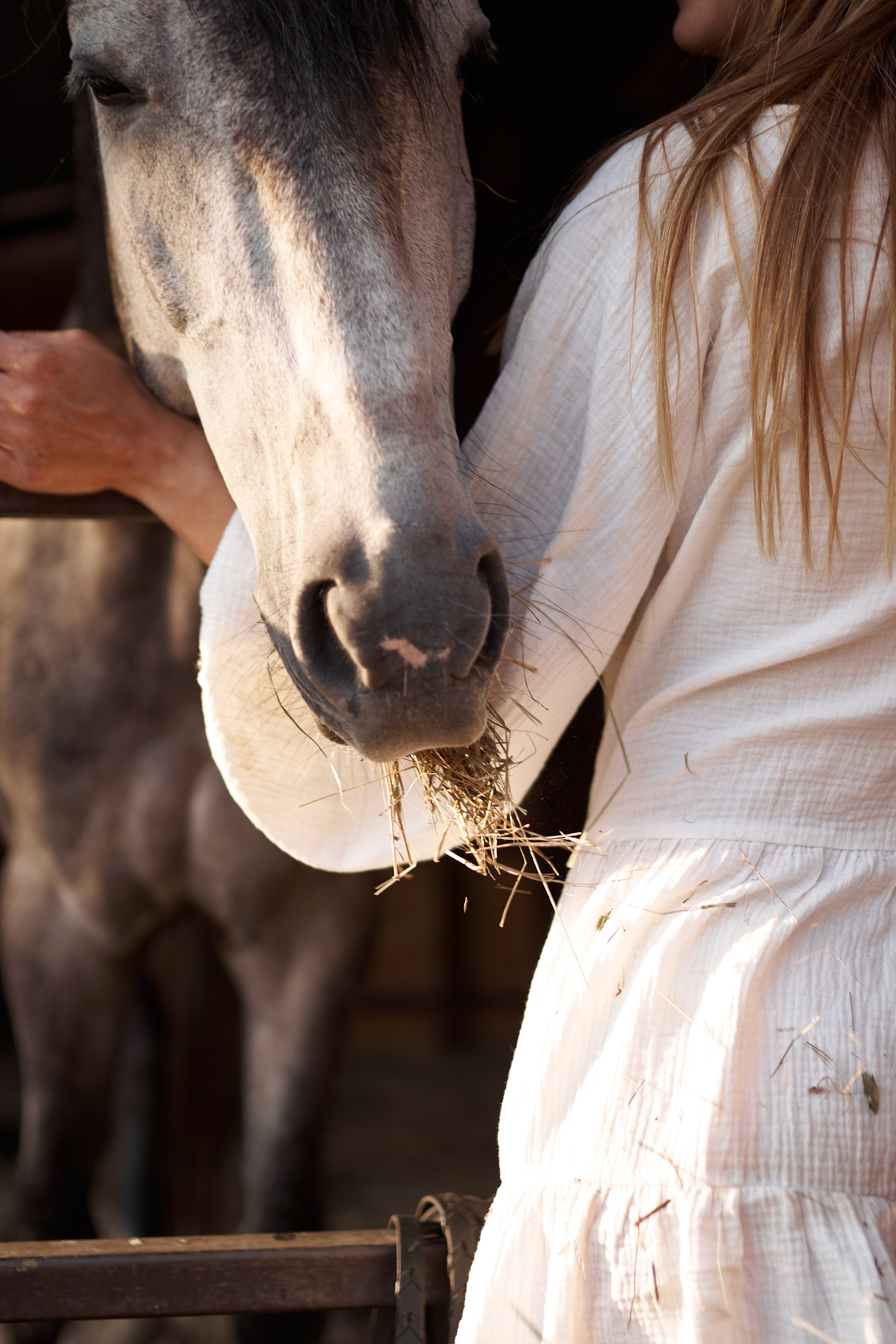 Оля Панченко и Кондор. Фотосессии с лошадьми в Москве, Новосибирске