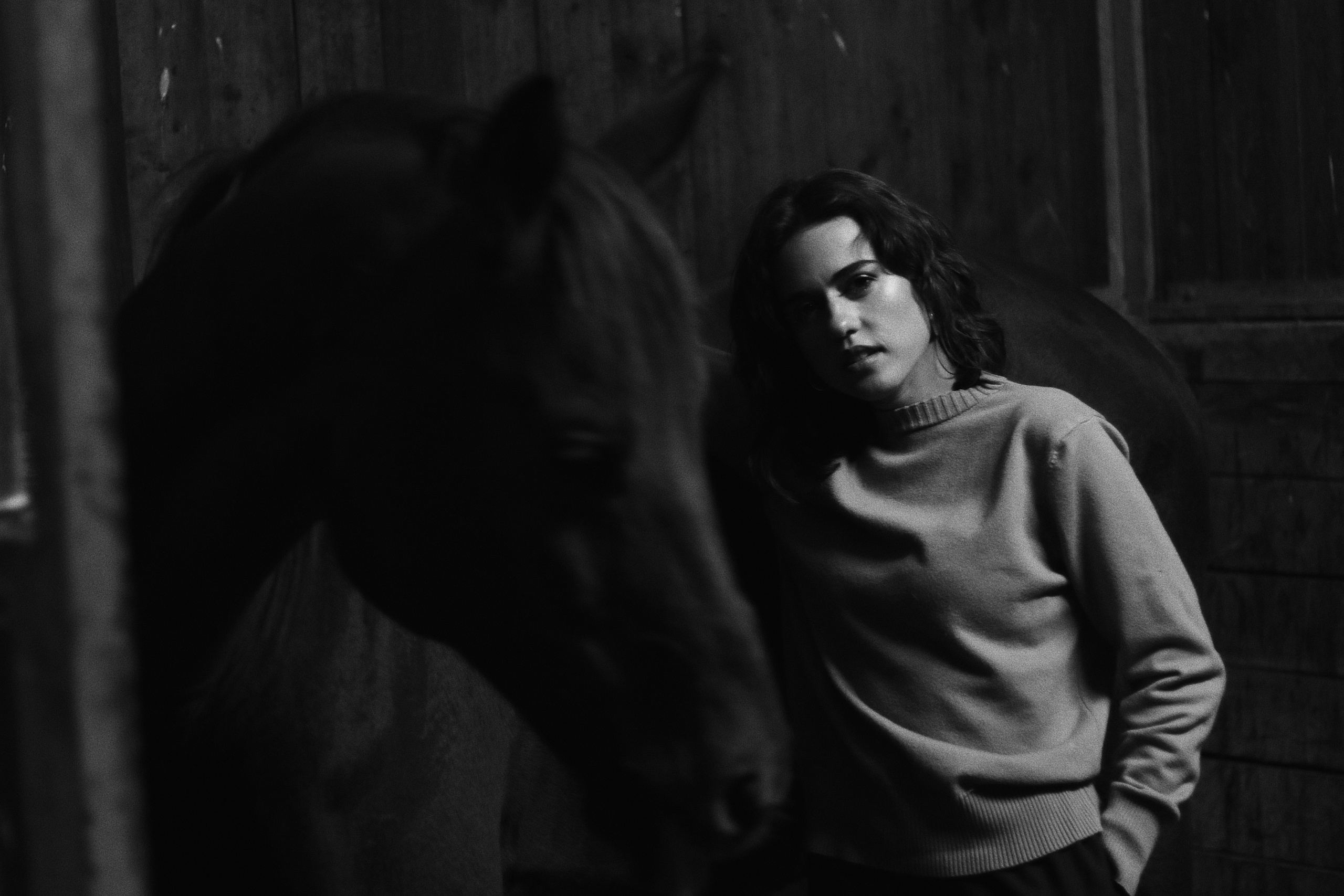 Мария Попова. Фотосессии с лошадьми в Москве, Новосибирске