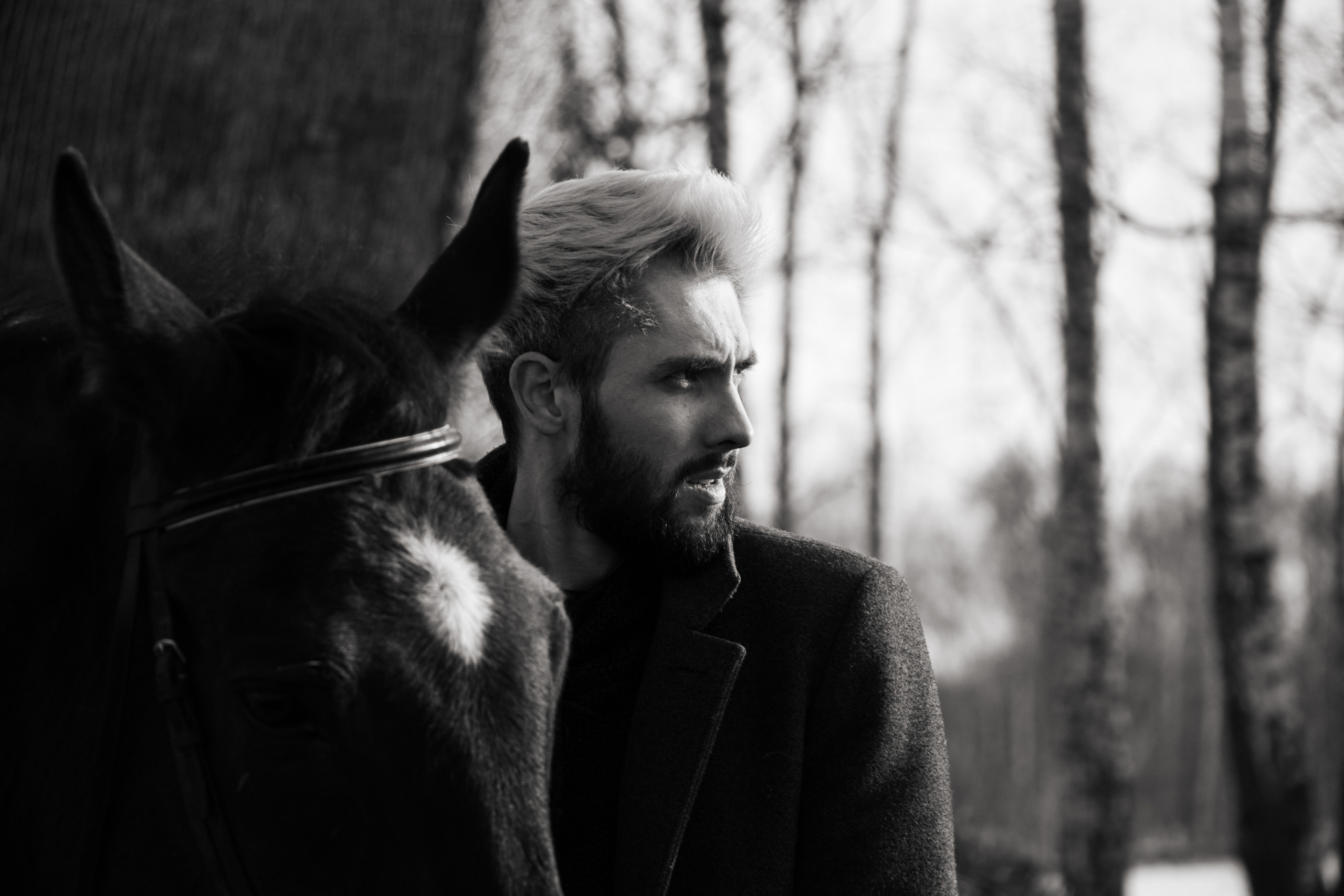 Юрий Бойченко и Шаде. Фотосессии с лошадьми в Москве, Новосибирске