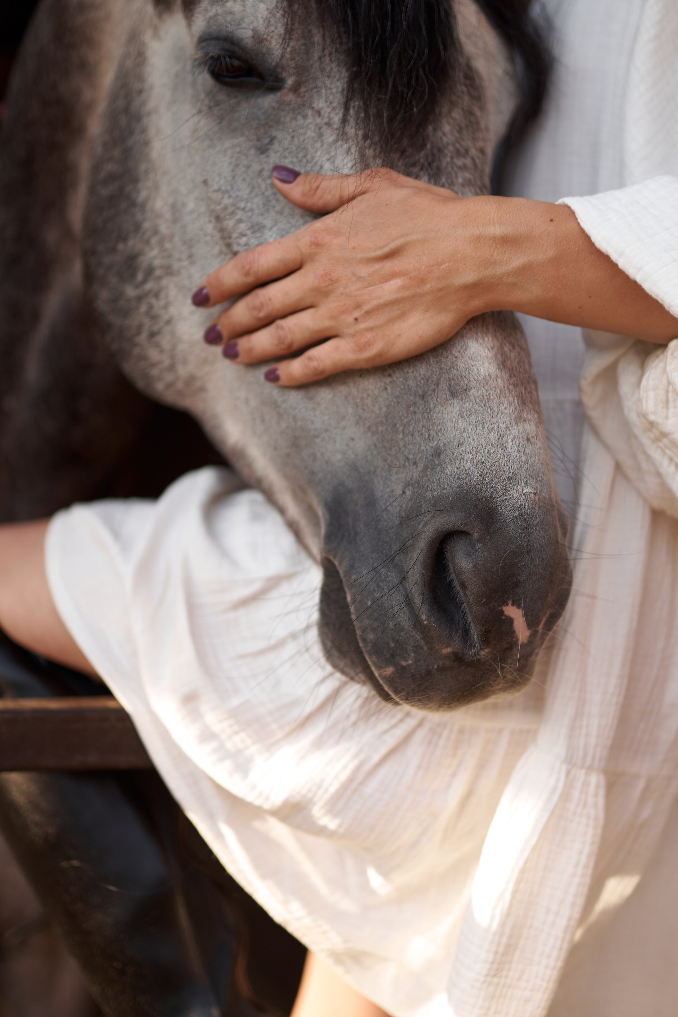 Оля Панченко и Кондор. Фотосессии с лошадьми в Москве, Новосибирске