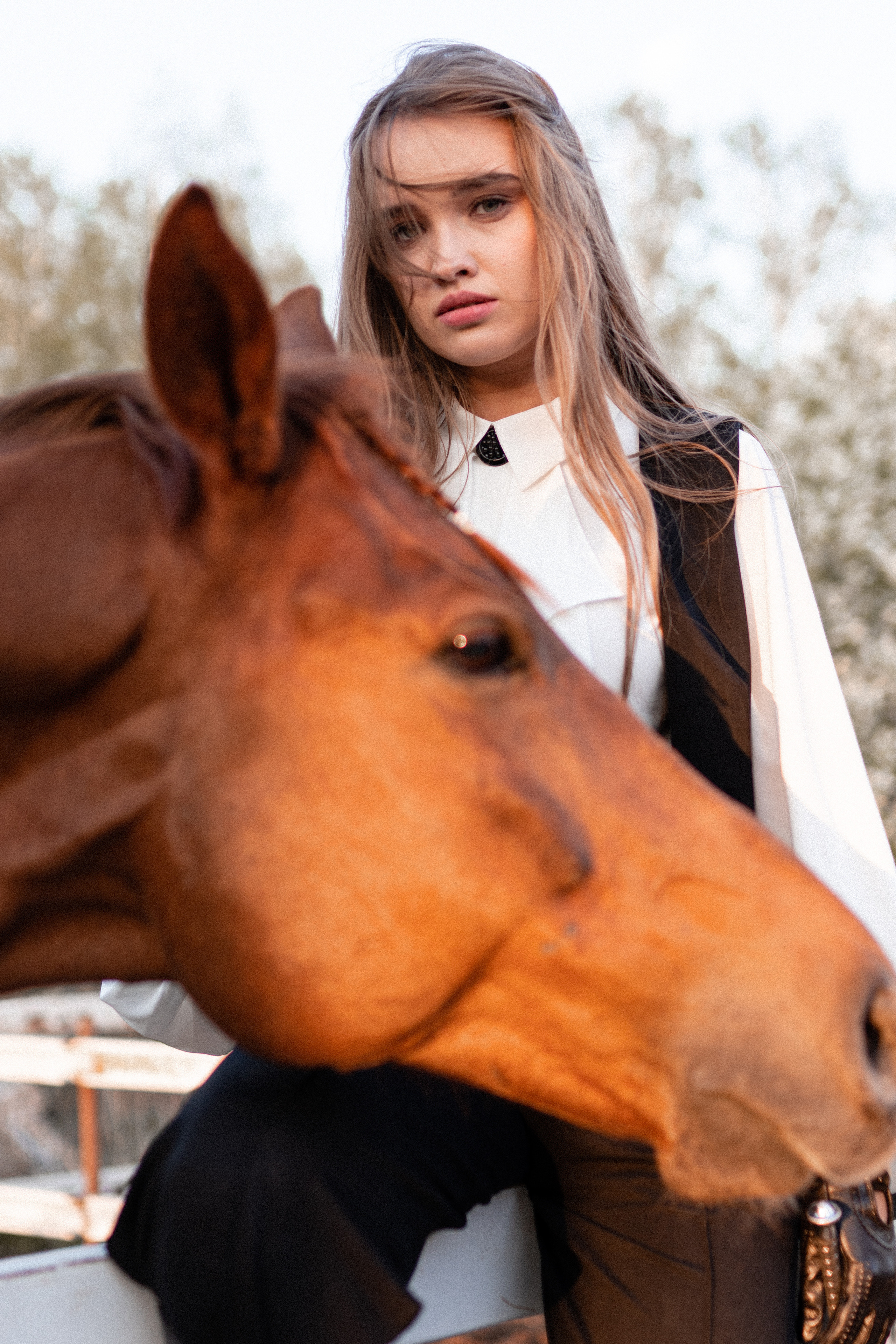 Екатерина, Прогон, Пепел. Фотосессии с лошадьми в Москве, Новосибирске
