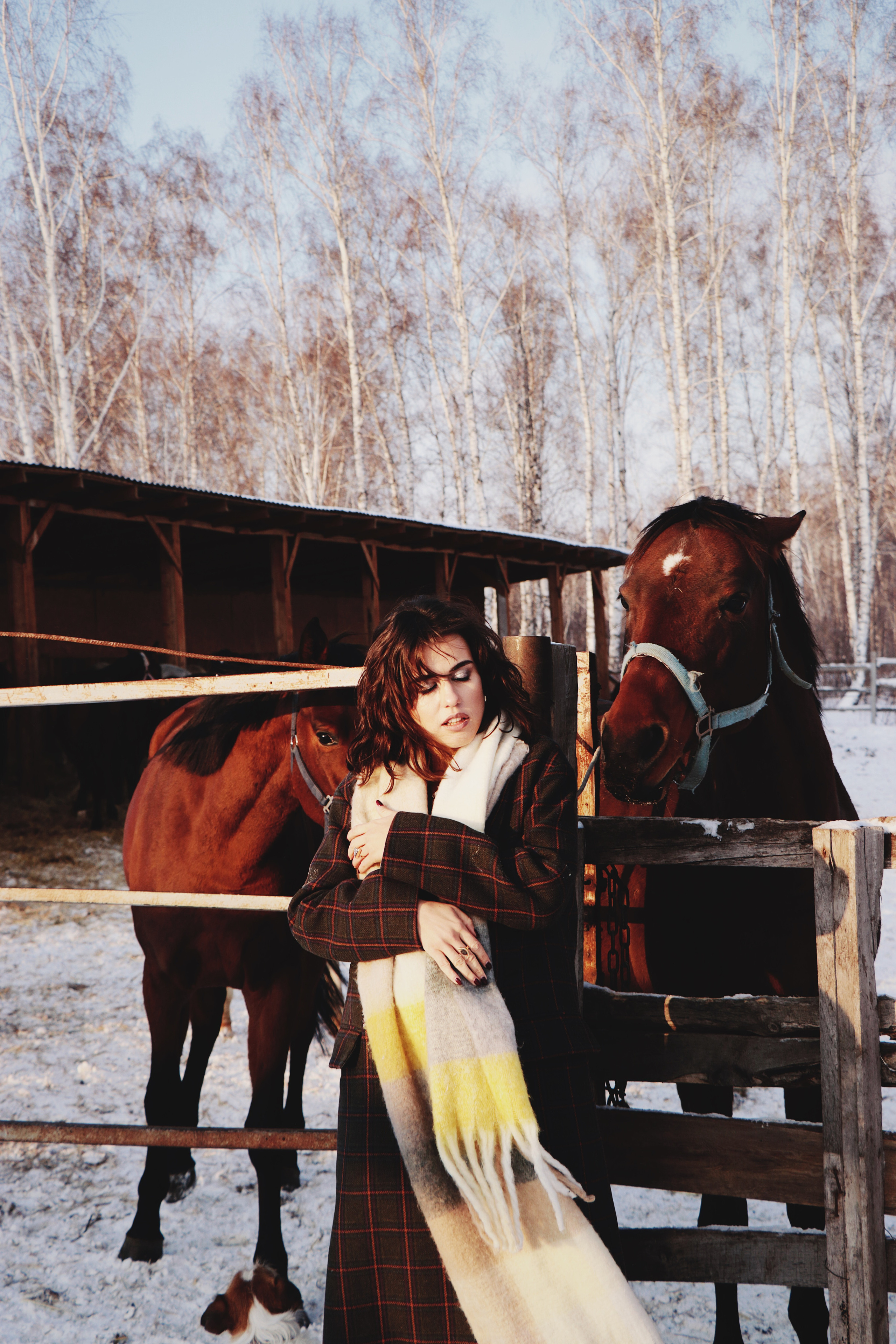 Мария Попова. Фотосессии с лошадьми в Москве, Новосибирске