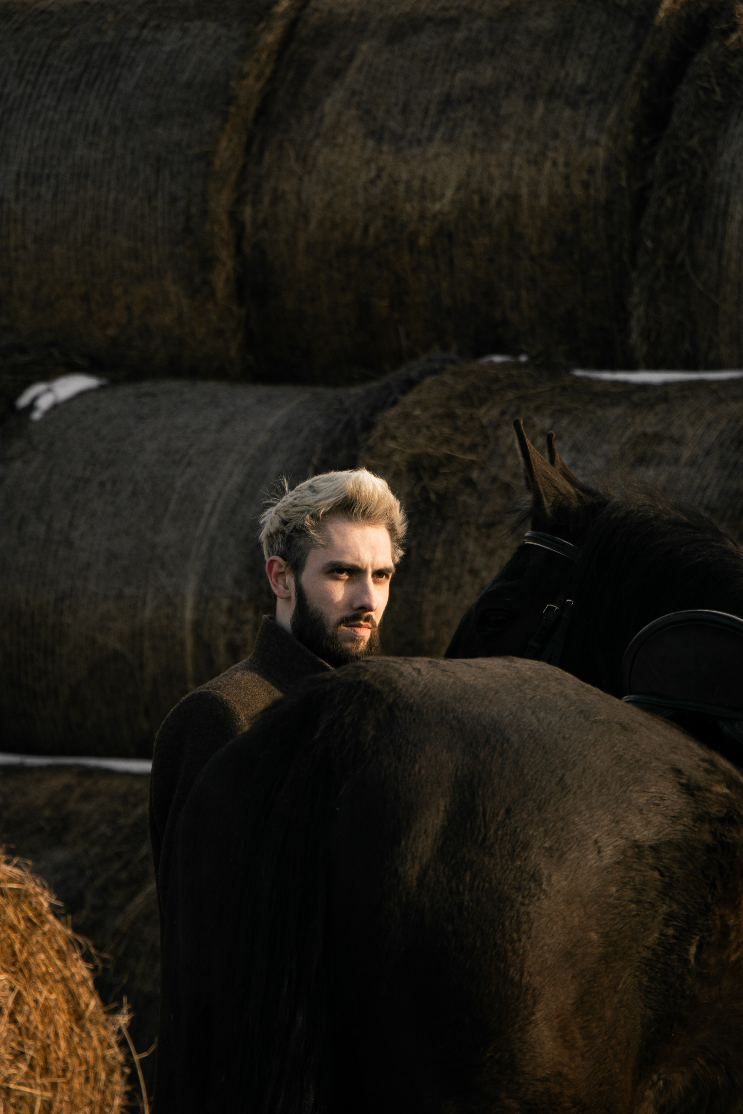 Юрий Бойченко и Шаде. Фотосессии с лошадьми в Москве, Новосибирске