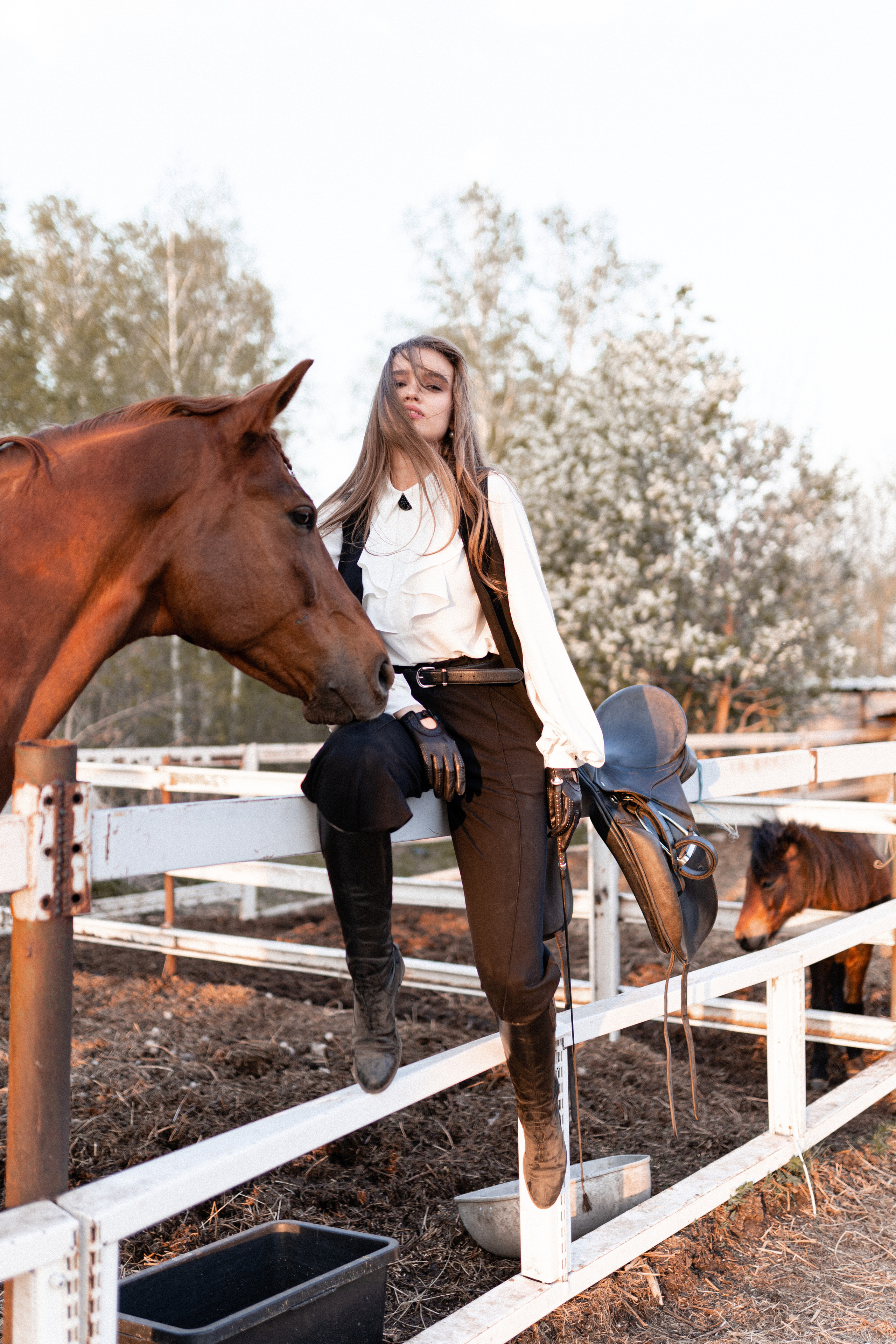 Екатерина, Прогон, Пепел. Фотосессии с лошадьми в Москве, Новосибирске