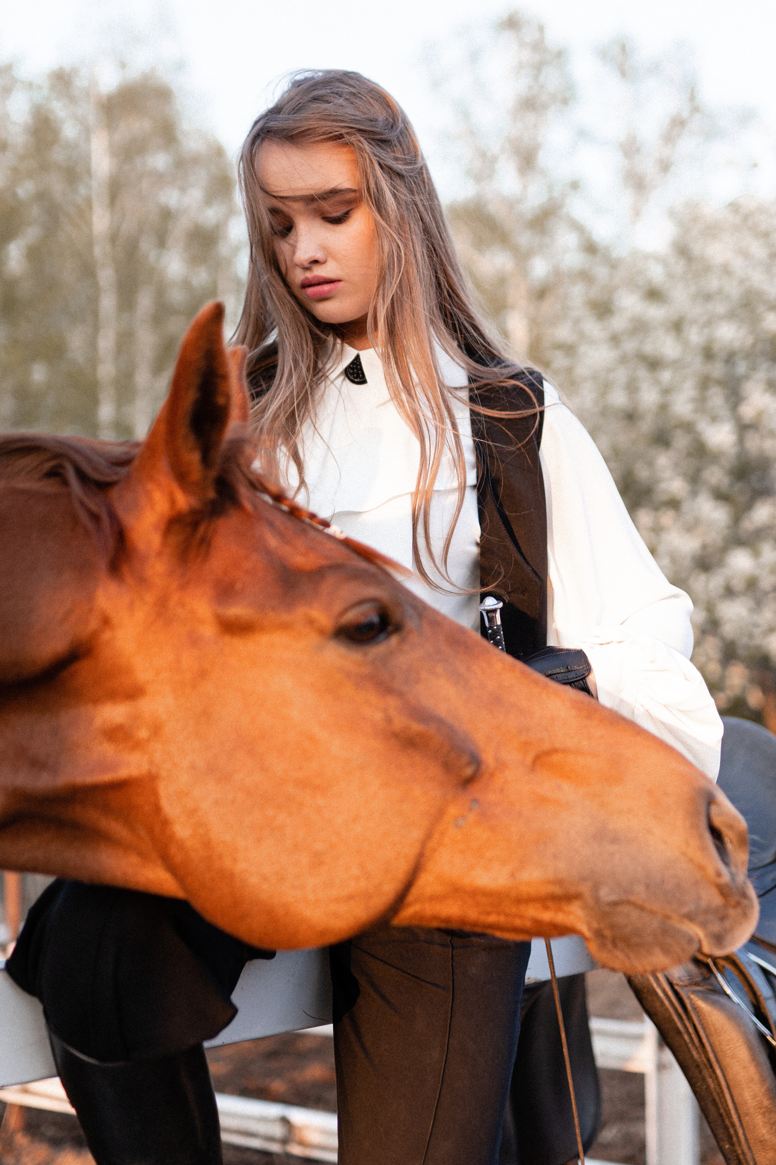 Екатерина, Прогон, Пепел. Фотосессии с лошадьми в Москве, Новосибирске