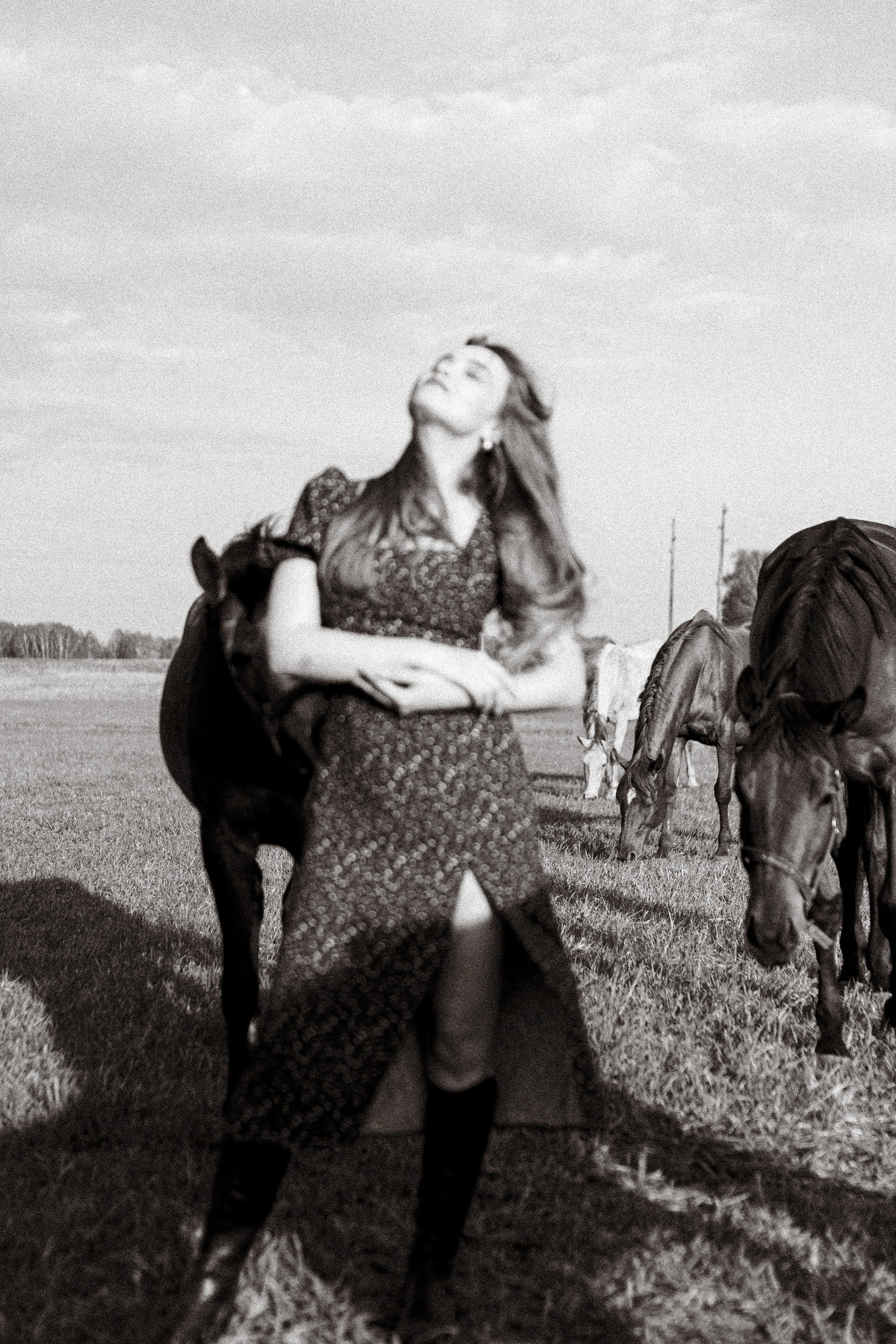 Екатерина в табуне. Фотосессии с лошадьми в Москве, Новосибирске