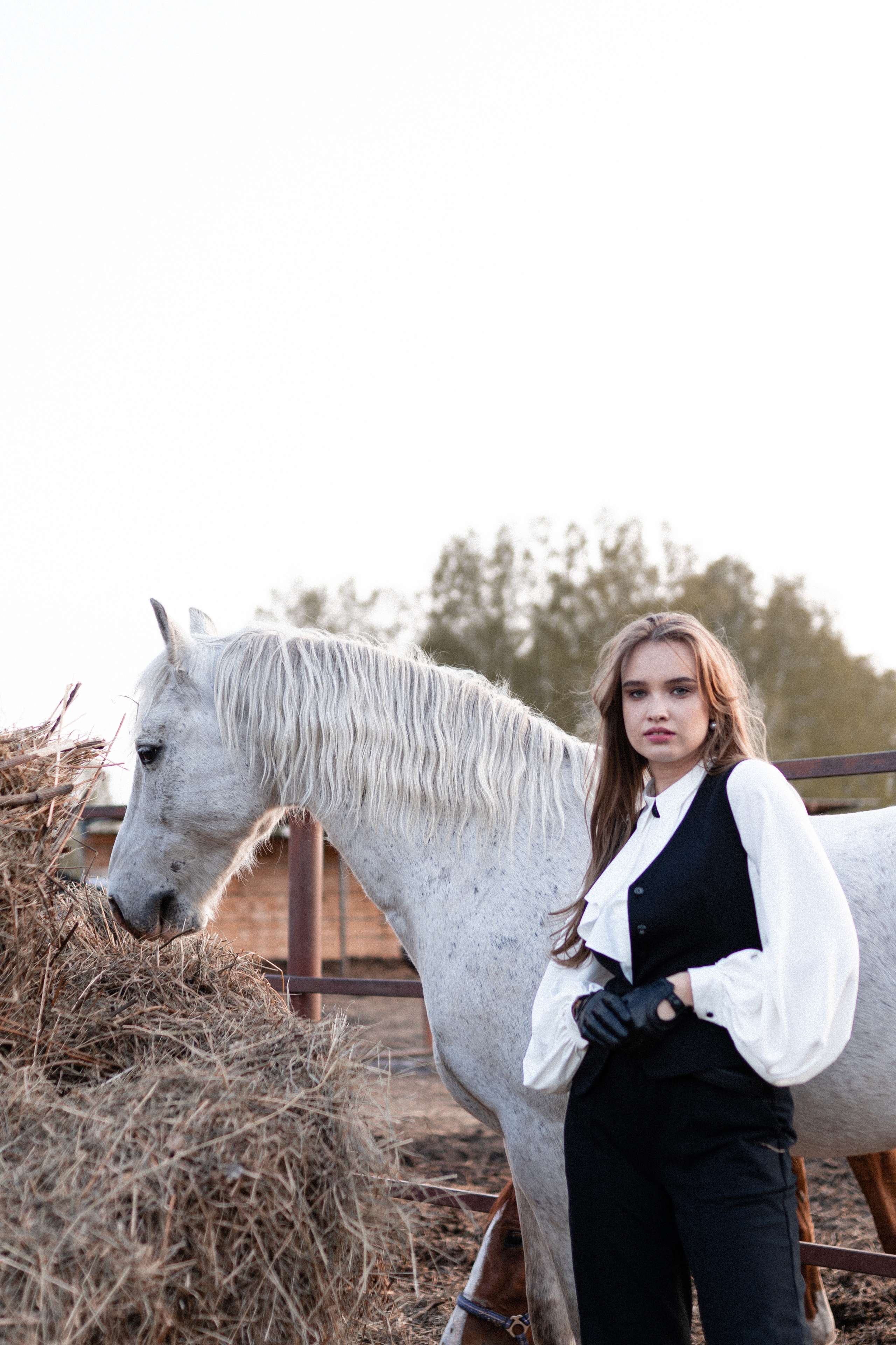 Екатерина, Прогон, Пепел. Фотосессии с лошадьми в Москве, Новосибирске