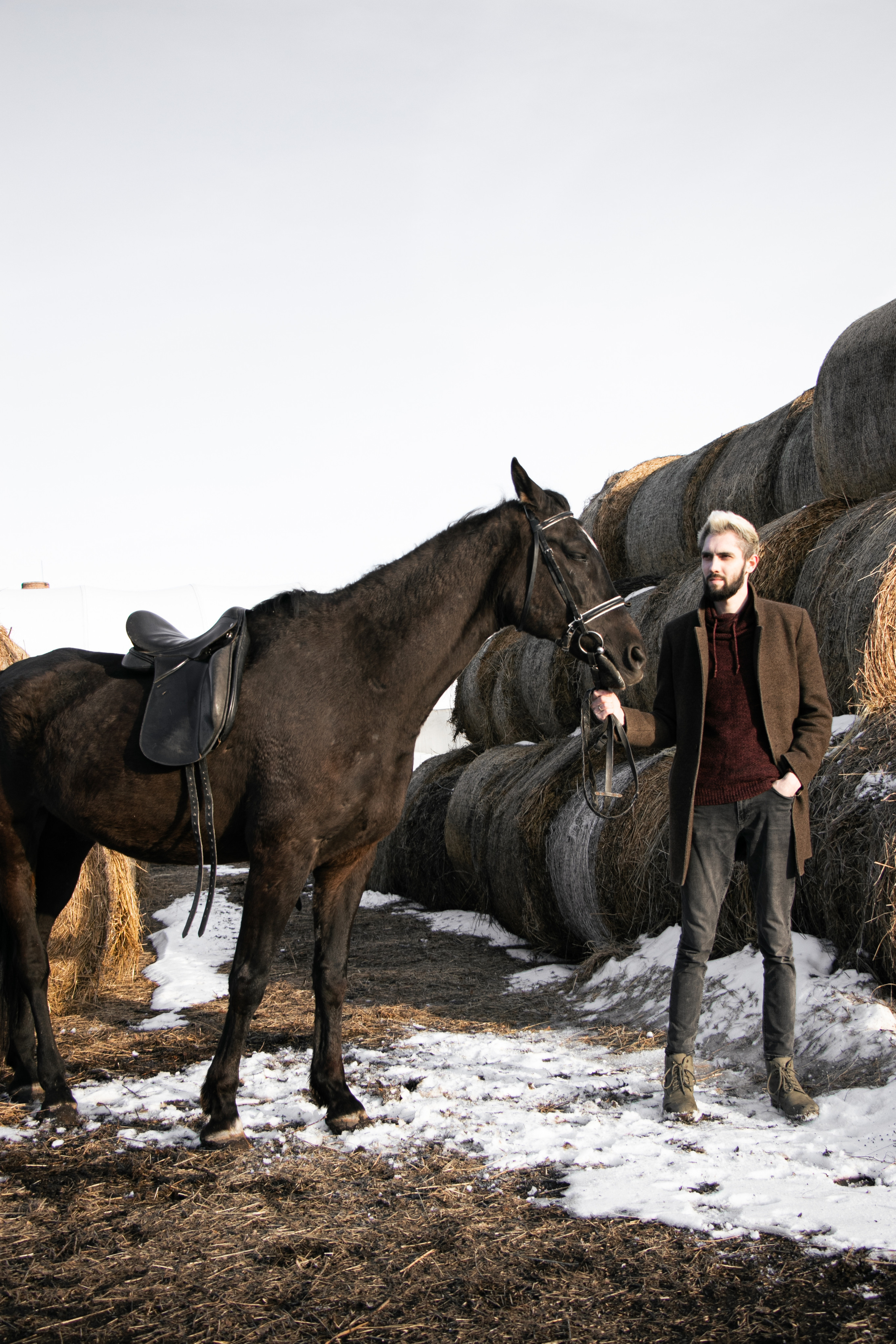 Юрий Бойченко и Шаде. Фотосессии с лошадьми в Москве, Новосибирске