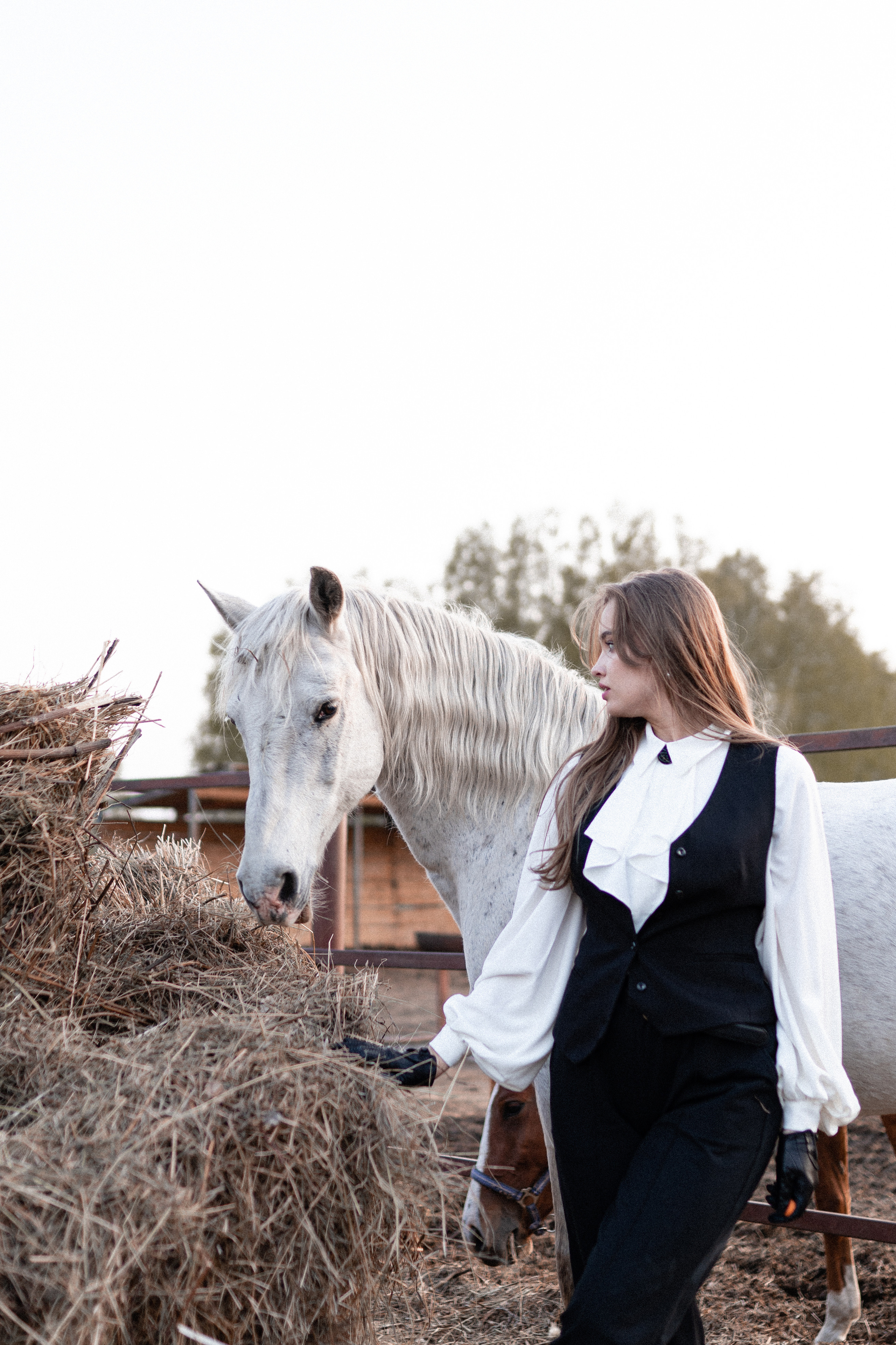 Екатерина, Прогон, Пепел. Фотосессии с лошадьми в Москве, Новосибирске