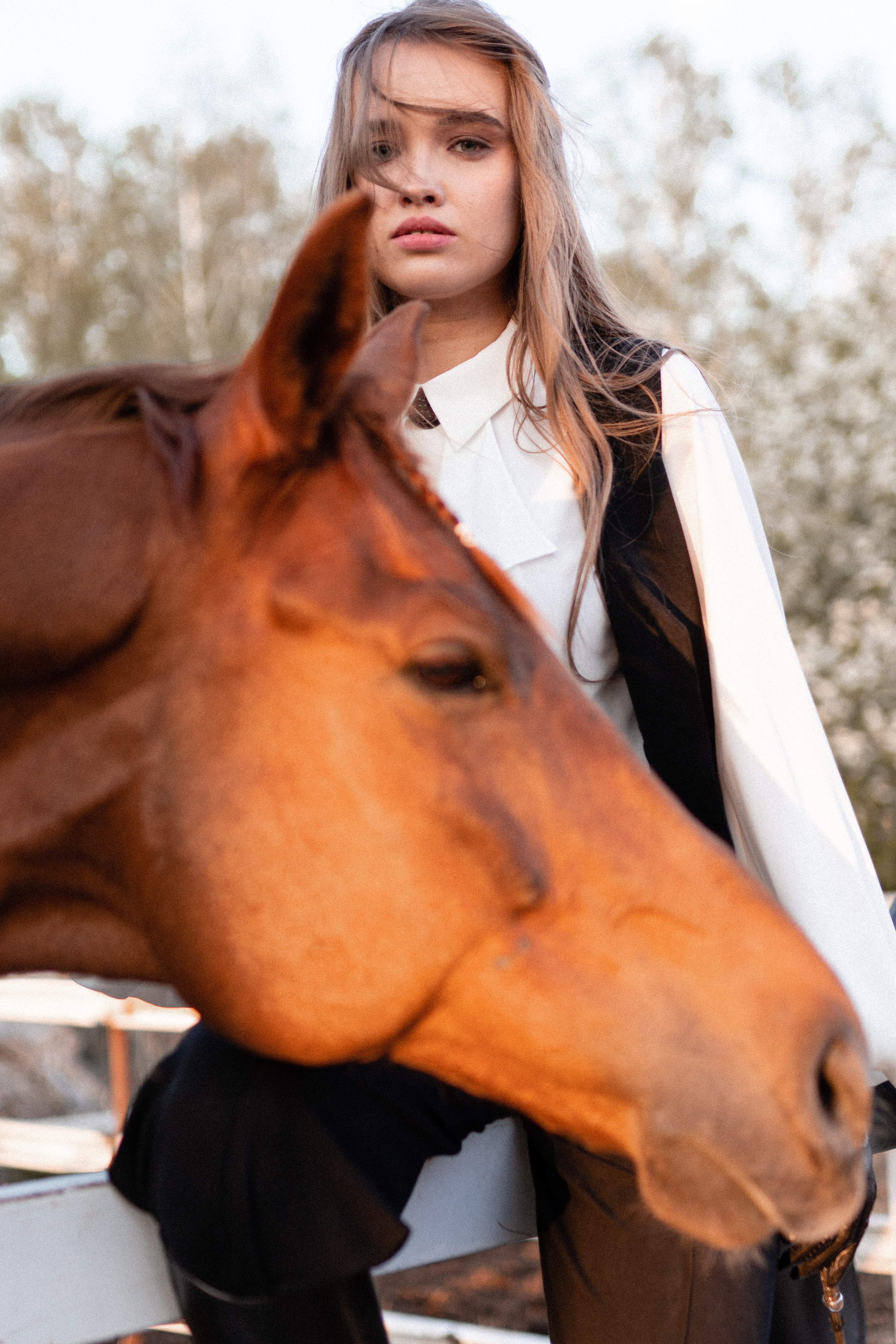 Екатерина, Прогон, Пепел. Фотосессии с лошадьми в Москве, Новосибирске