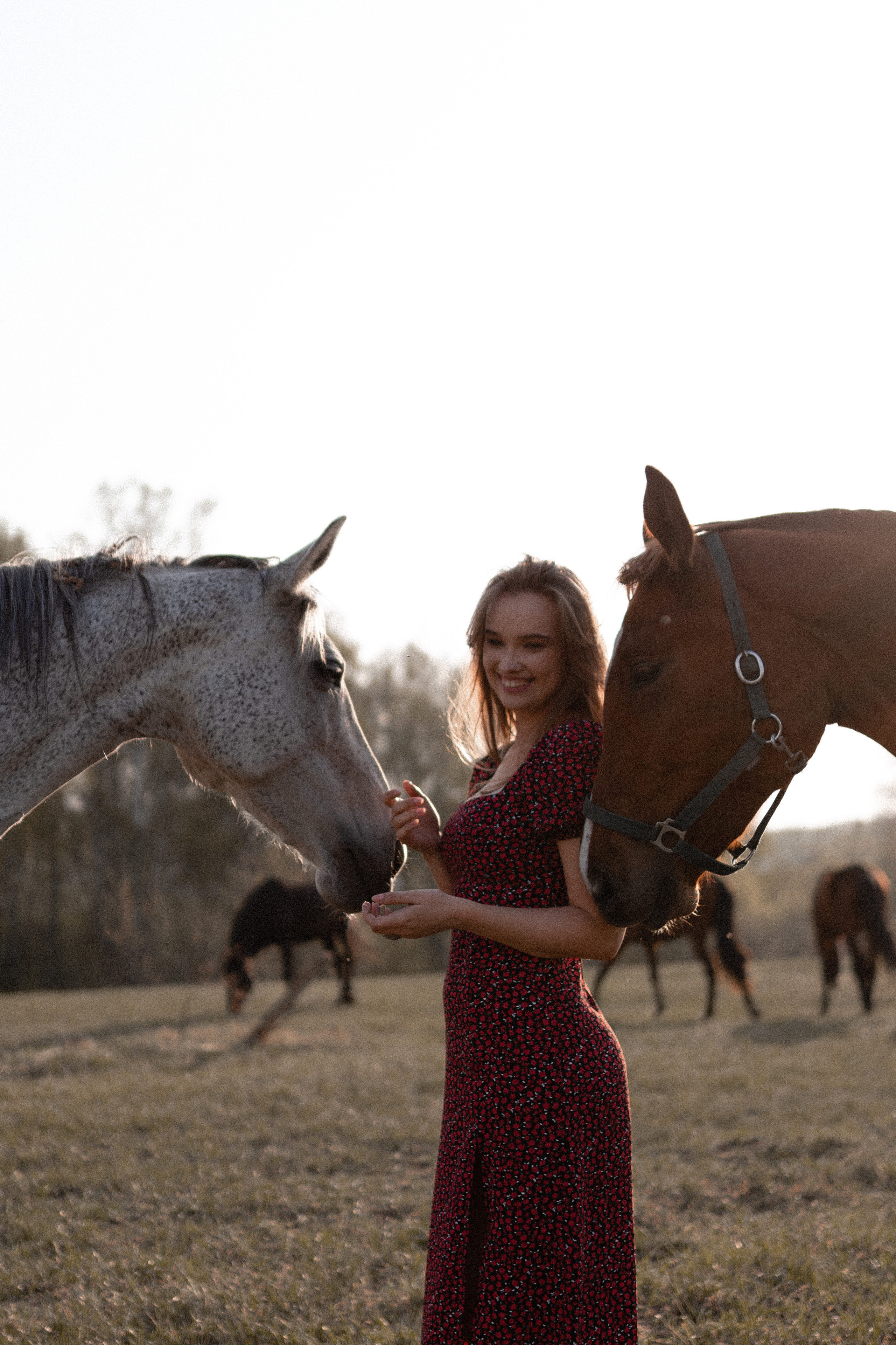Екатерина в табуне. Фотосессии с лошадьми в Москве, Новосибирске