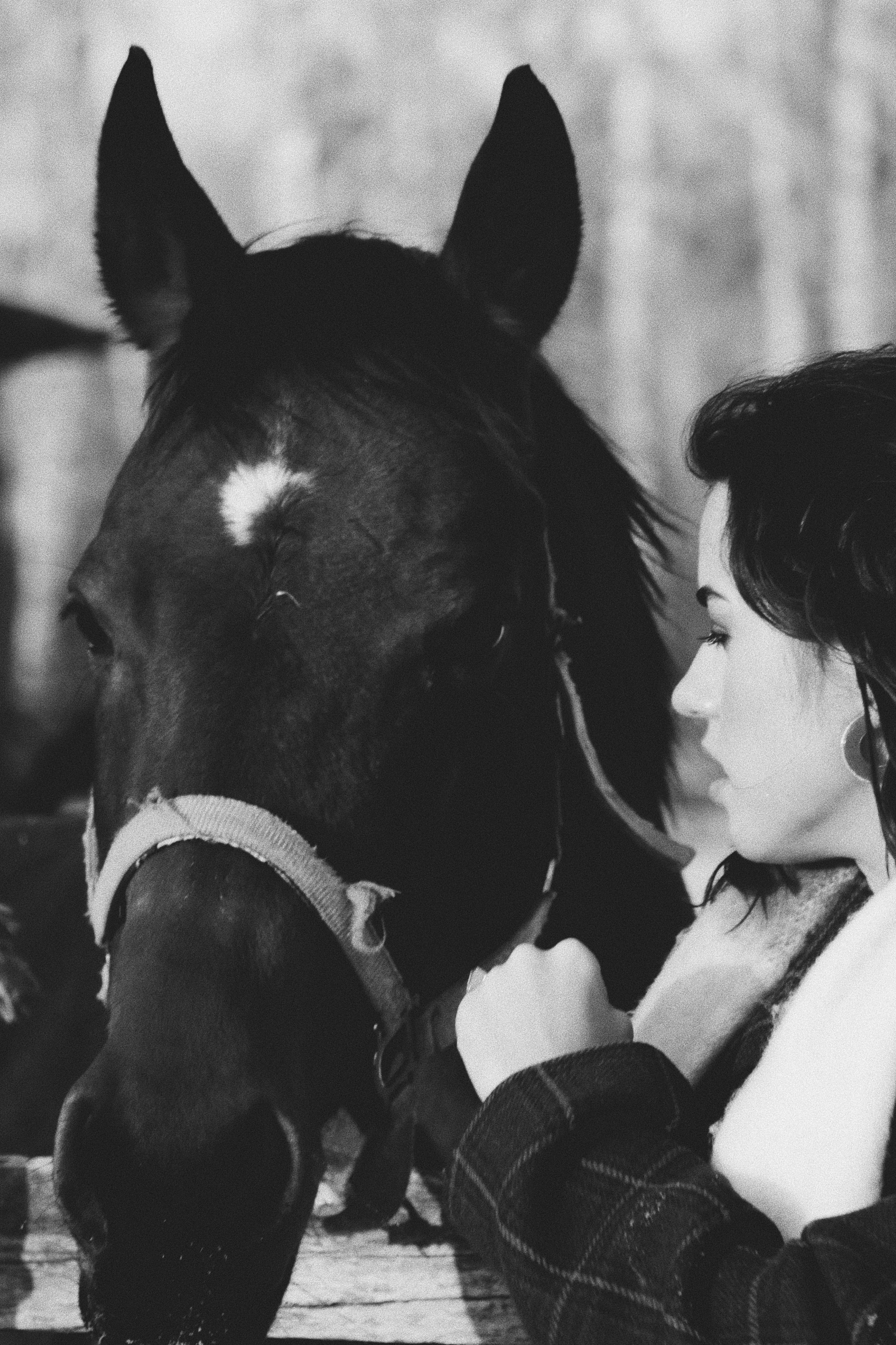 Мария Попова. Фотосессии с лошадьми в Москве, Новосибирске