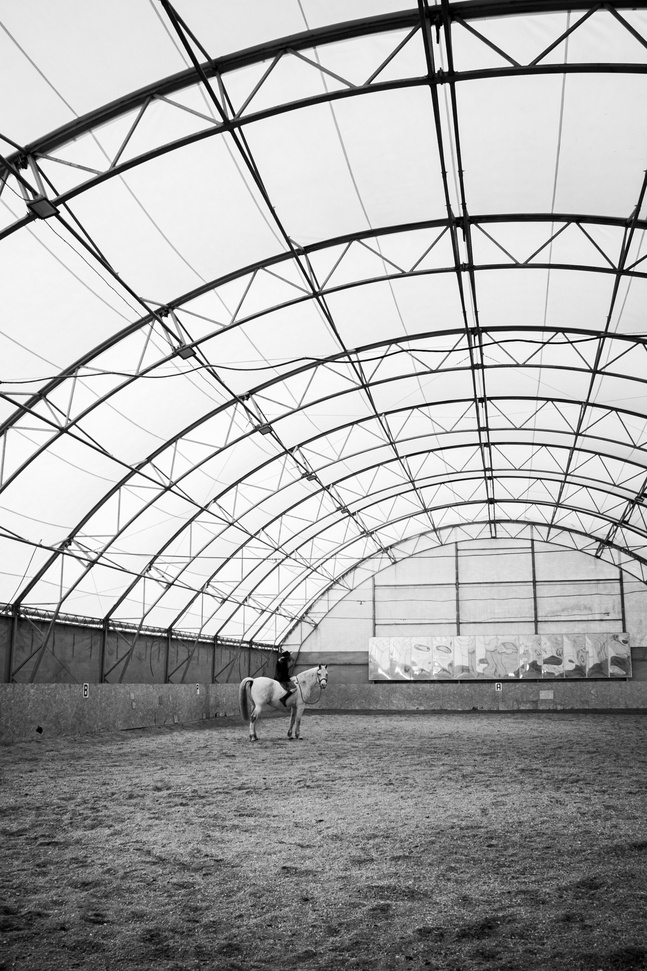 Олеся Гарченко и Пепел. Фотосессии с лошадьми в Москве, Новосибирске