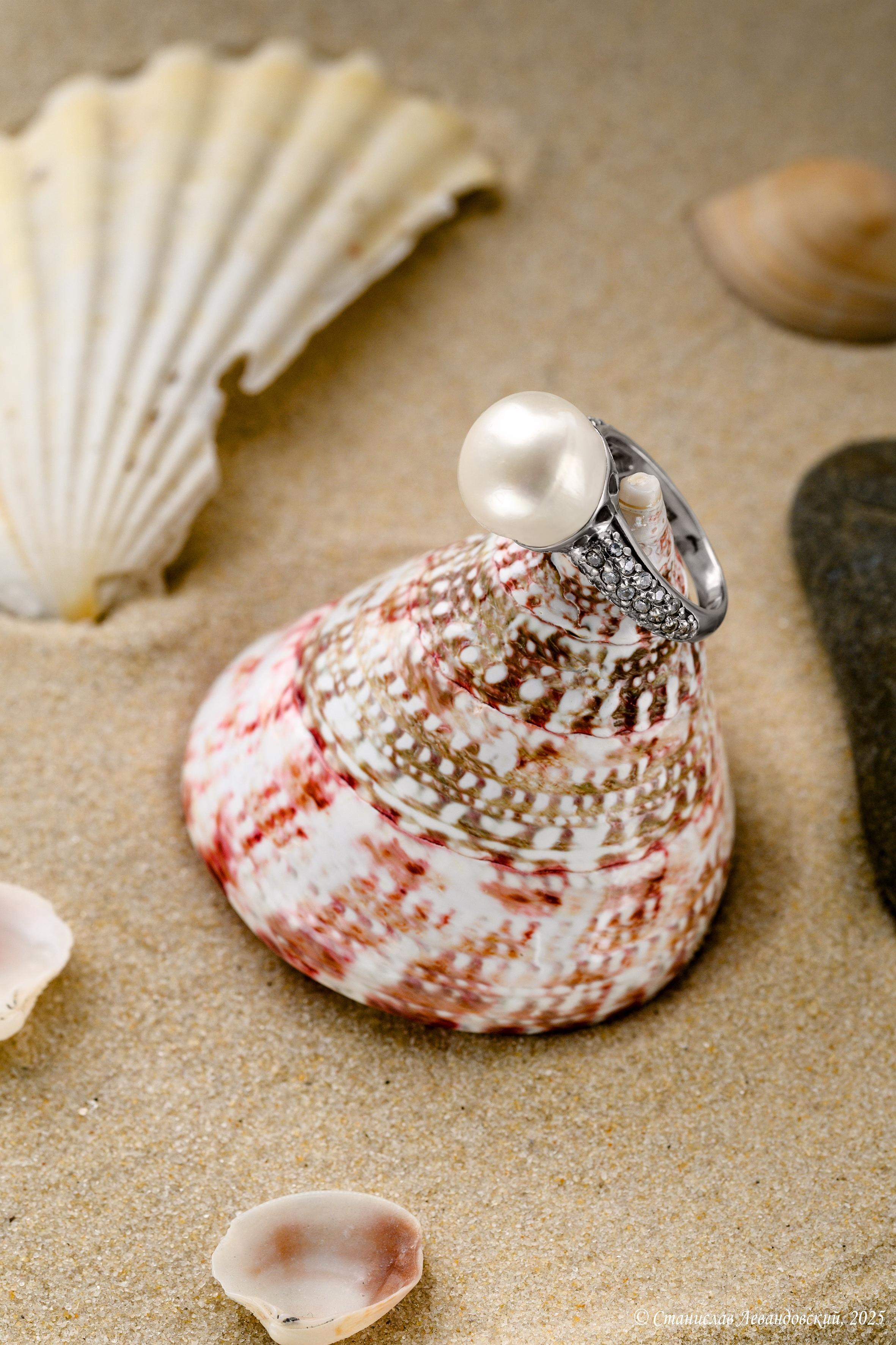 Предметы с глянцевой поверхностью. Предметный фотограф в Москве Станислав Левандовский