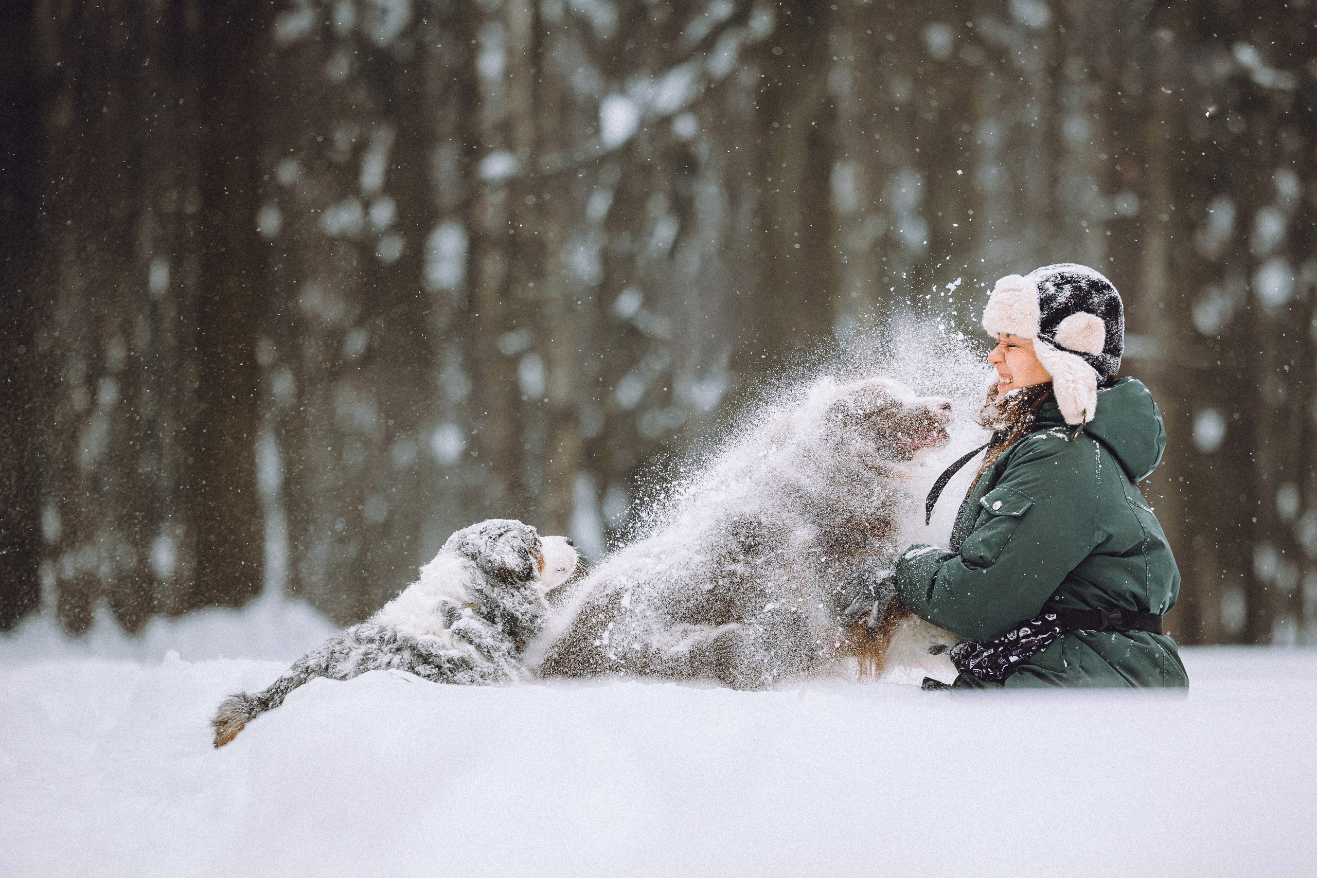 Лена, Принц и Фенек
