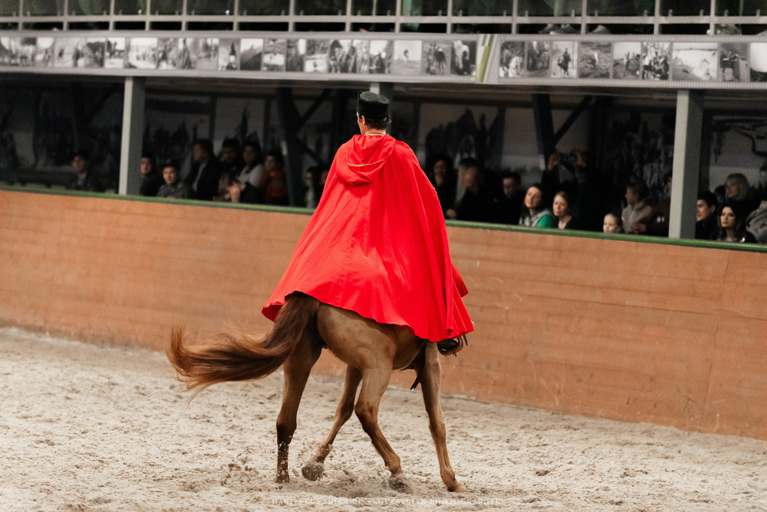 Конное представление «Дыхание Звёзд». Конный фотограф Куракина Дарья • Фотосессии с лошадьми