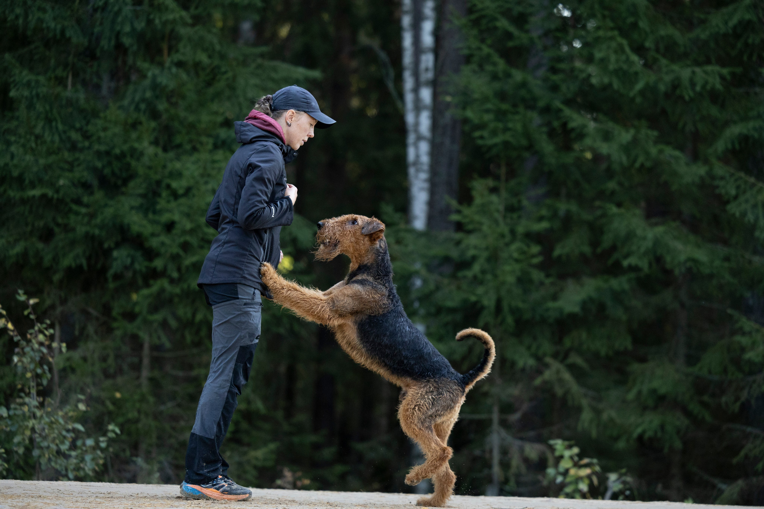 Харди. Фотограф-анималист Анна Маринич