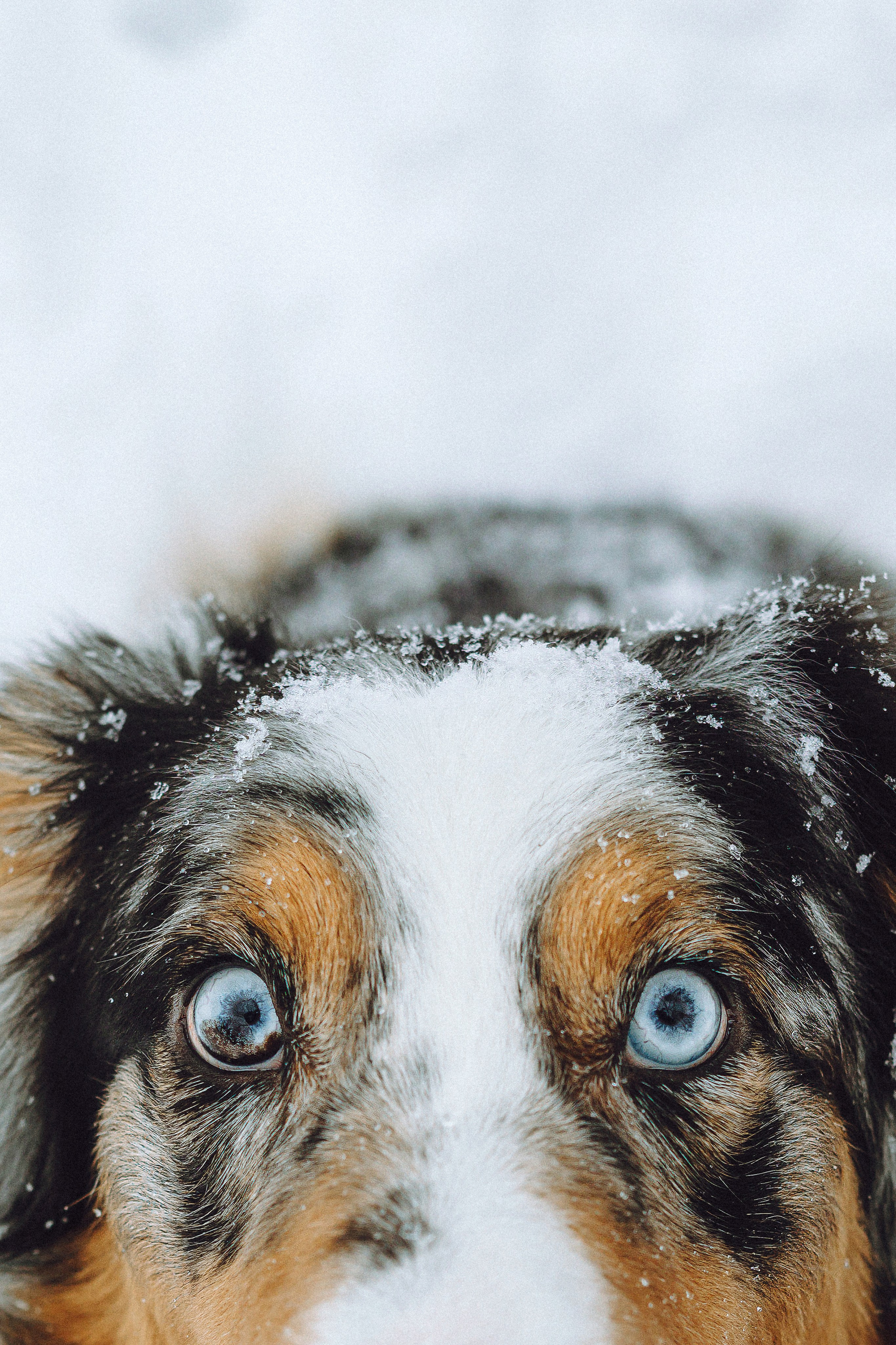 Фаня и ее семья