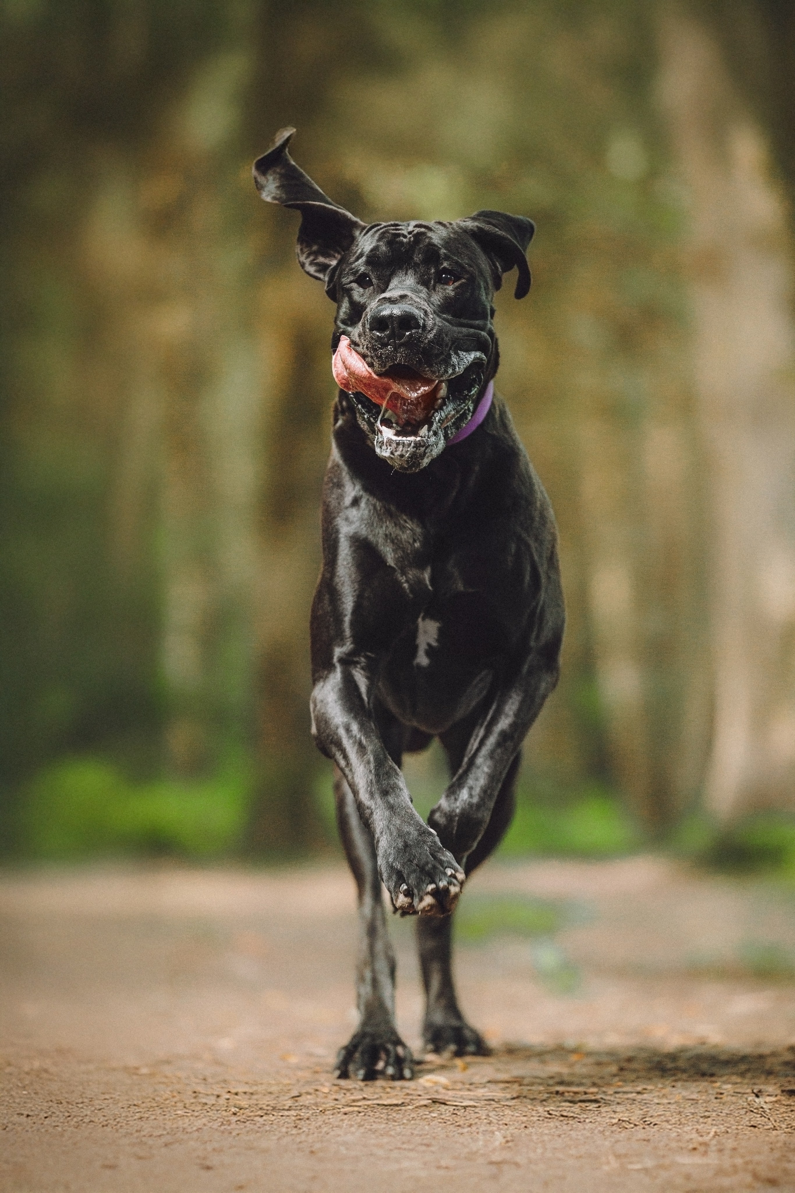 Катя, Андрей, Гектор, Ричи, Тортик и Трой