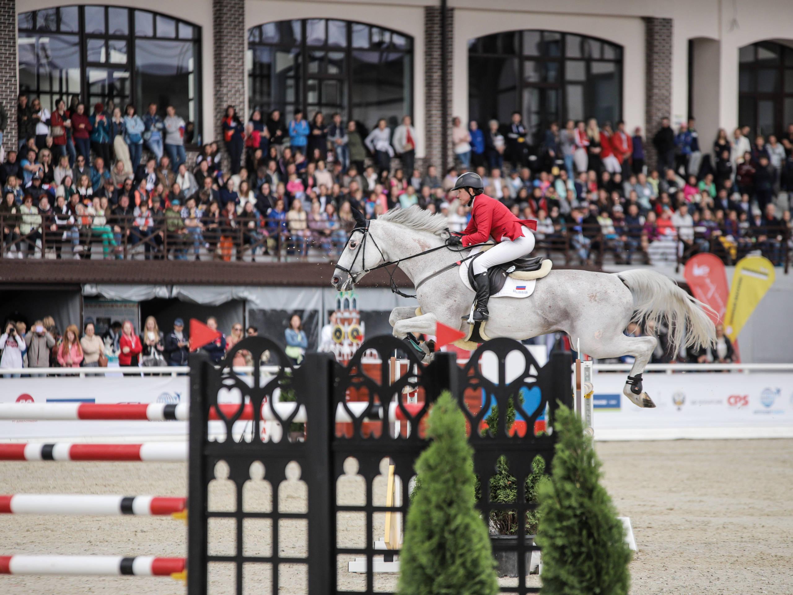 Турнир «Токийский Тур». Фотограф и видеограф в Москве Ирина Фомочкина