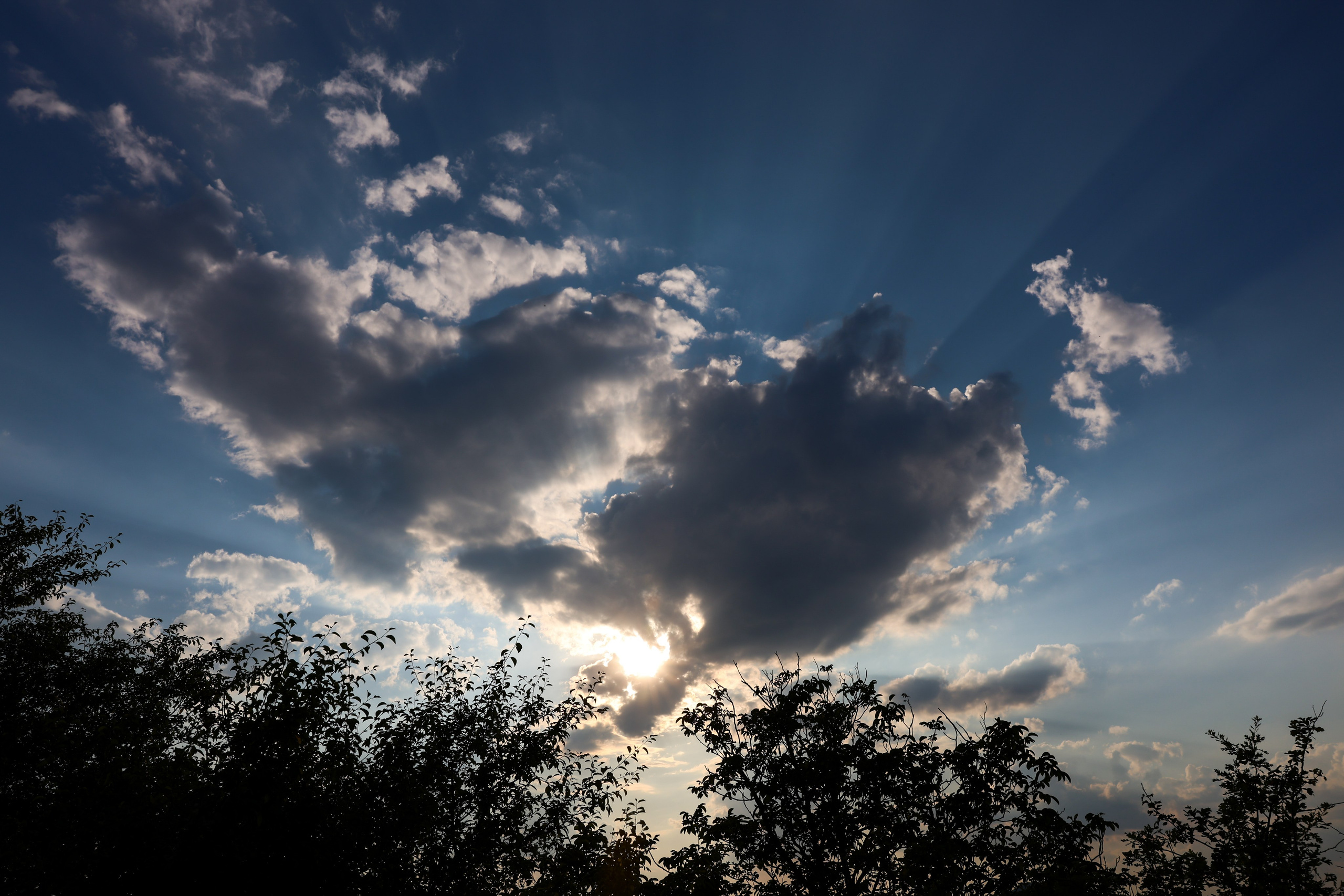 Фотограф Мария Алексеева. Мария Алексеева. Фотограф в Москве