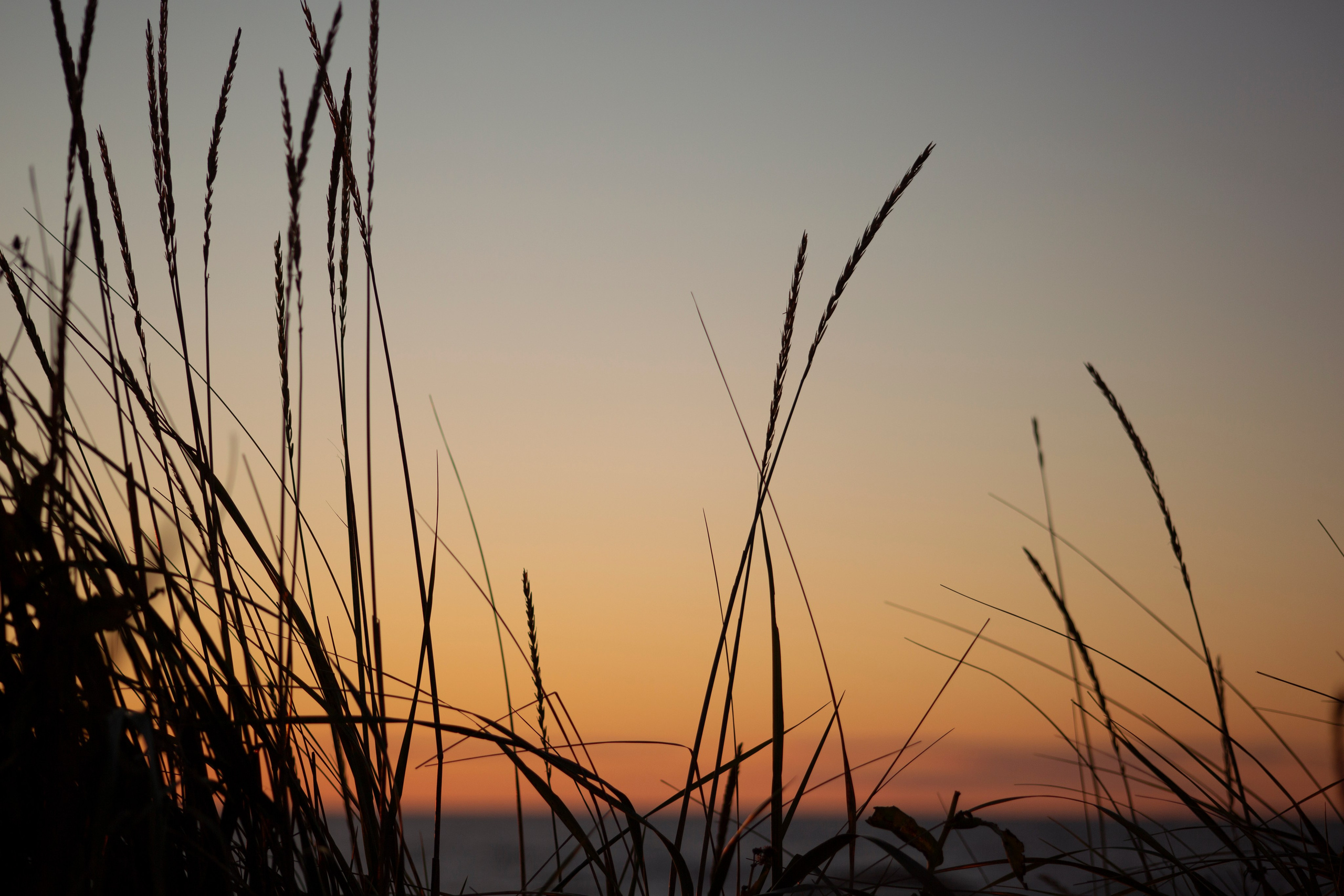 Первый день на Сахалине. Фотограф Даша Омельченко