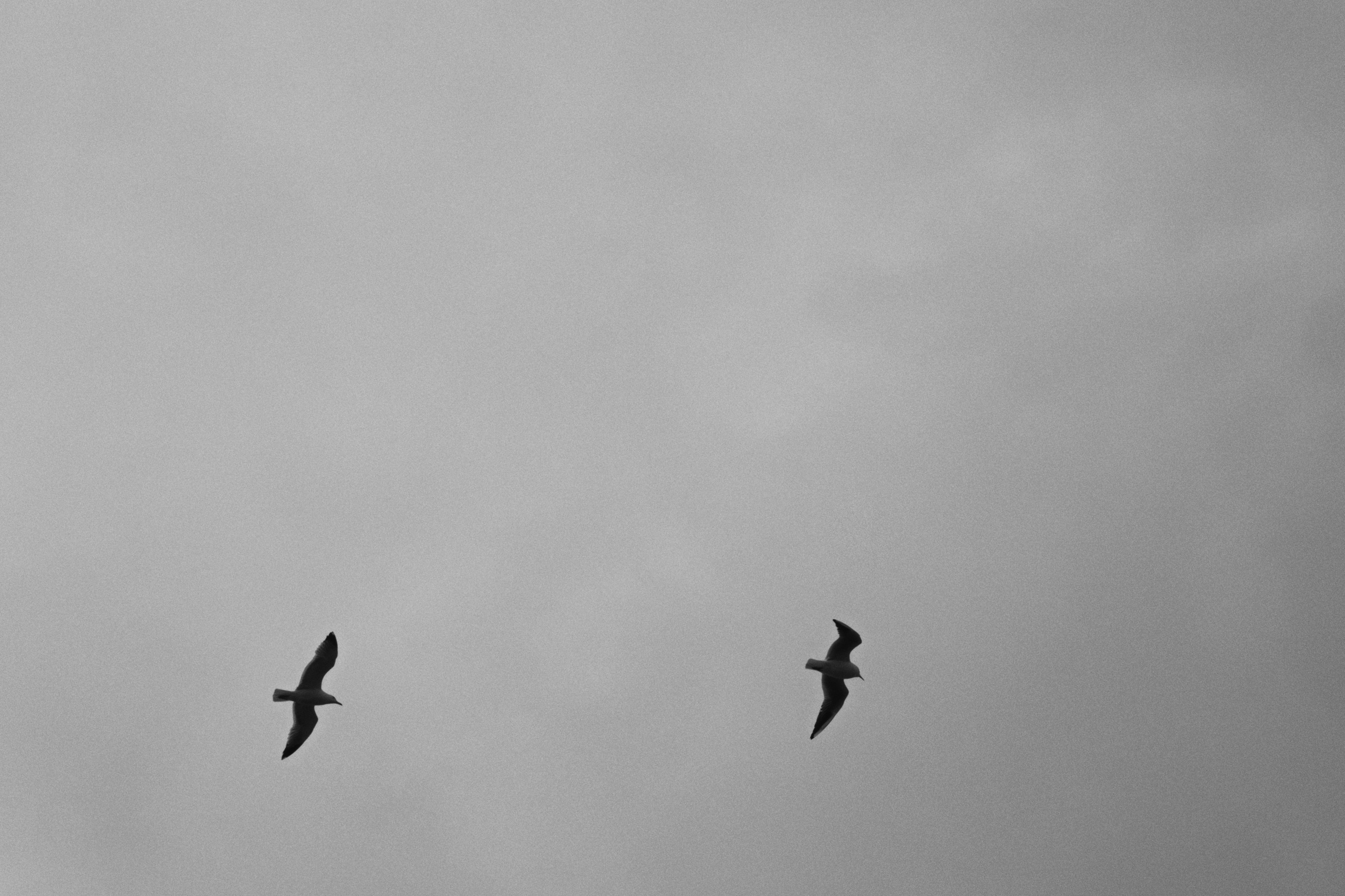 Kadikoy x Moda, Istanbul / Türkey AW26. Фотограф Юрин Евгений