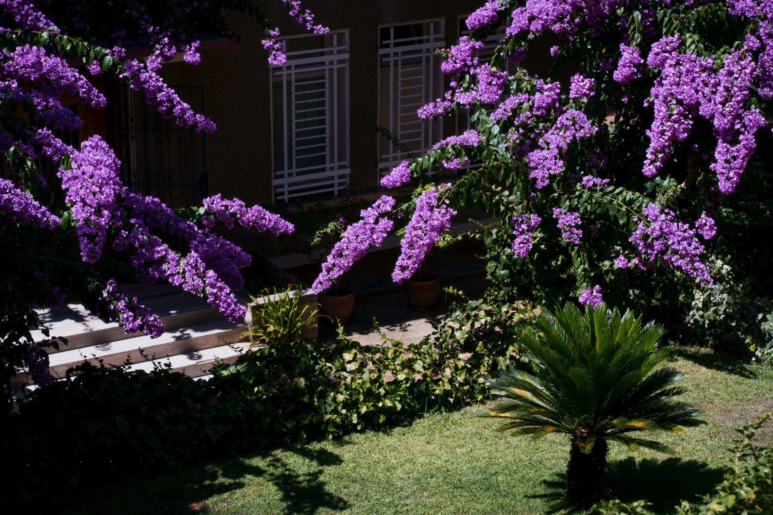 Büyükada х Heybeliada, Istanbul / Türkey SS25. Фотограф Юрин Евгений