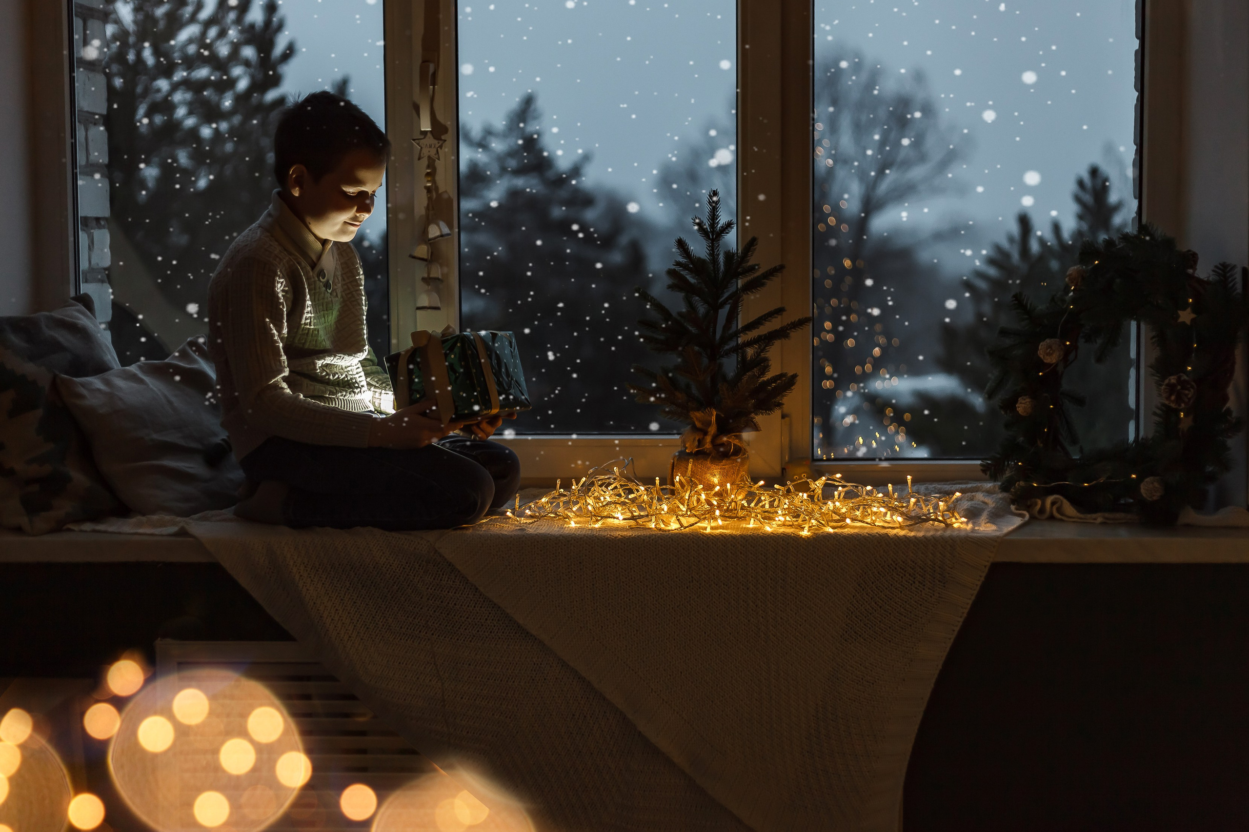 Ольга и Даня. Портретный, семейный, свадебный фотограф в Брянске Маргарита Василькова