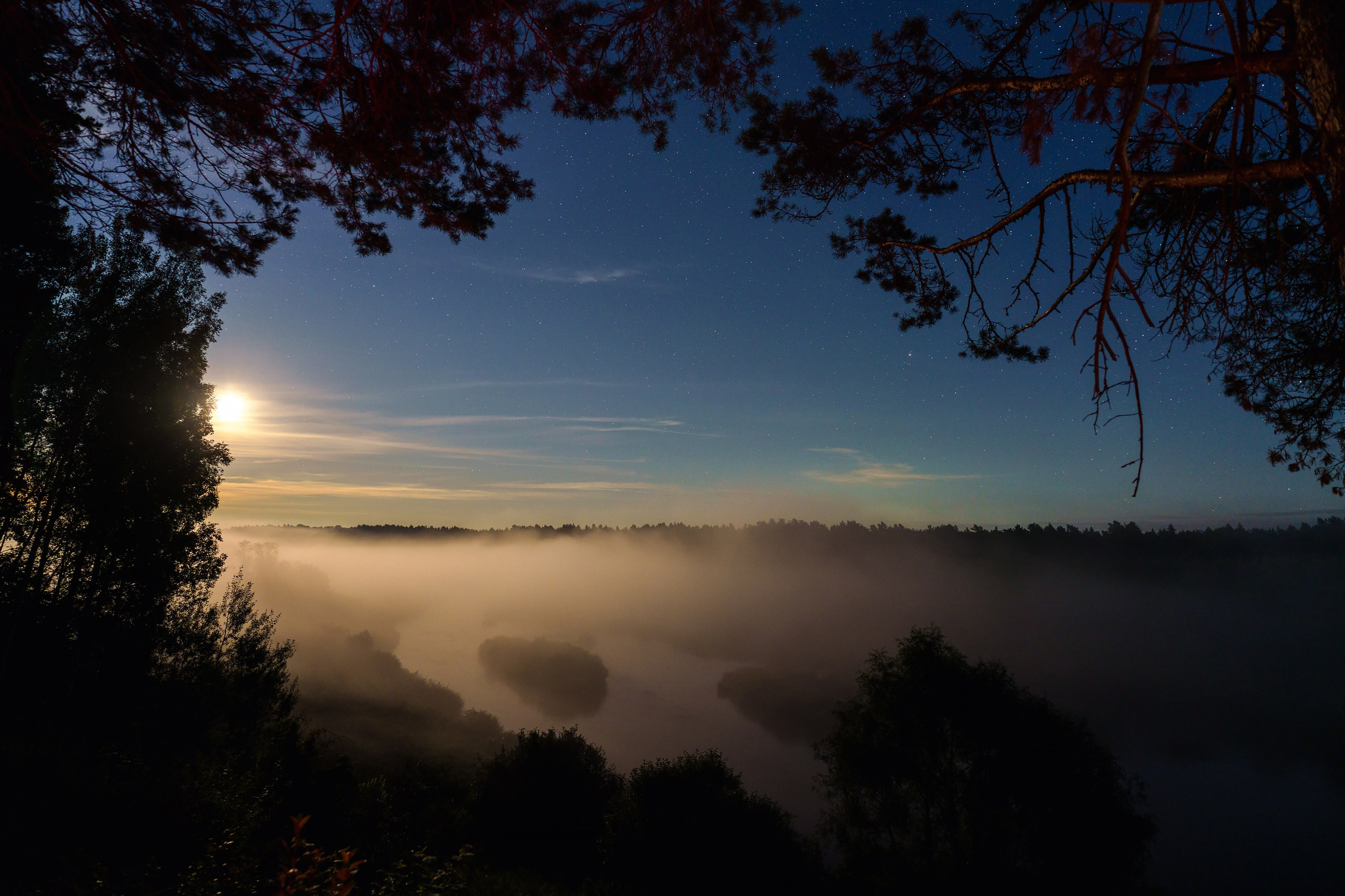 Фотографии Национальный парк Угра. Фотограф спортивные события, недвижимость, турбизнес