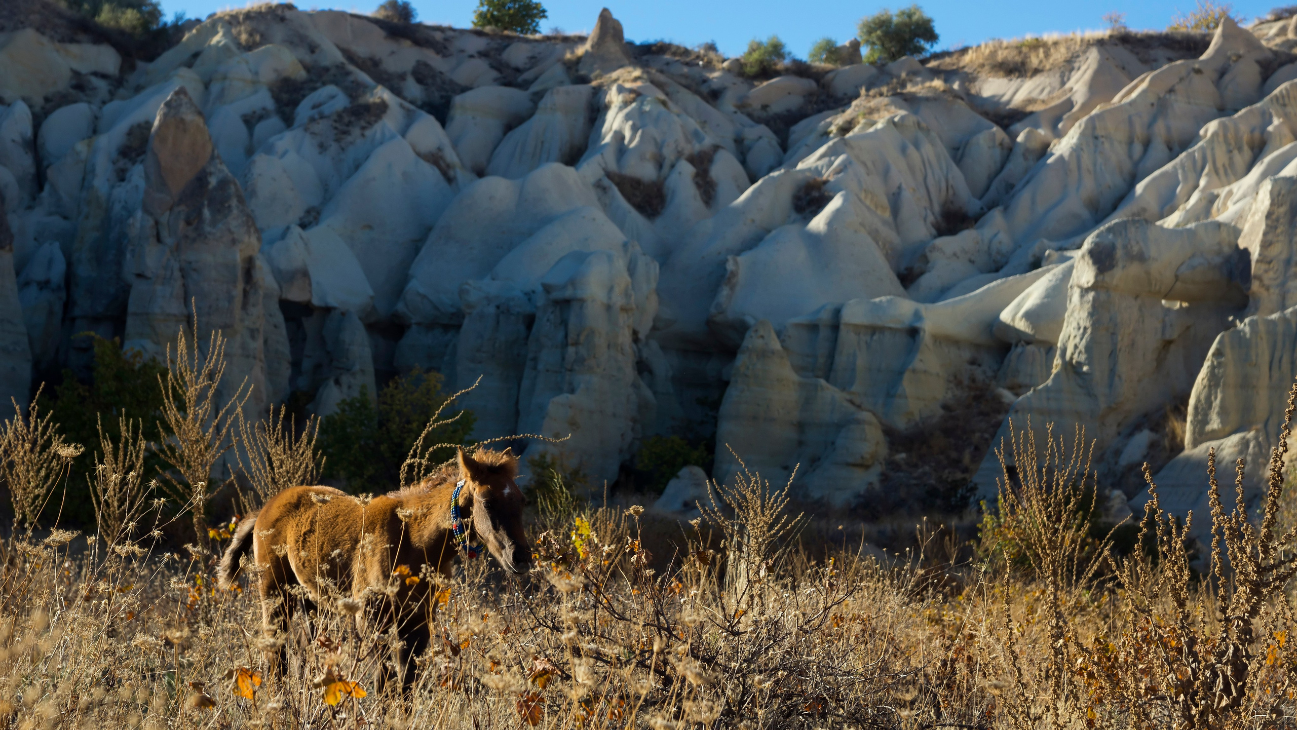 Каппадокия. Фотограф-путешественник Самойлов Максим «Sly Fox»