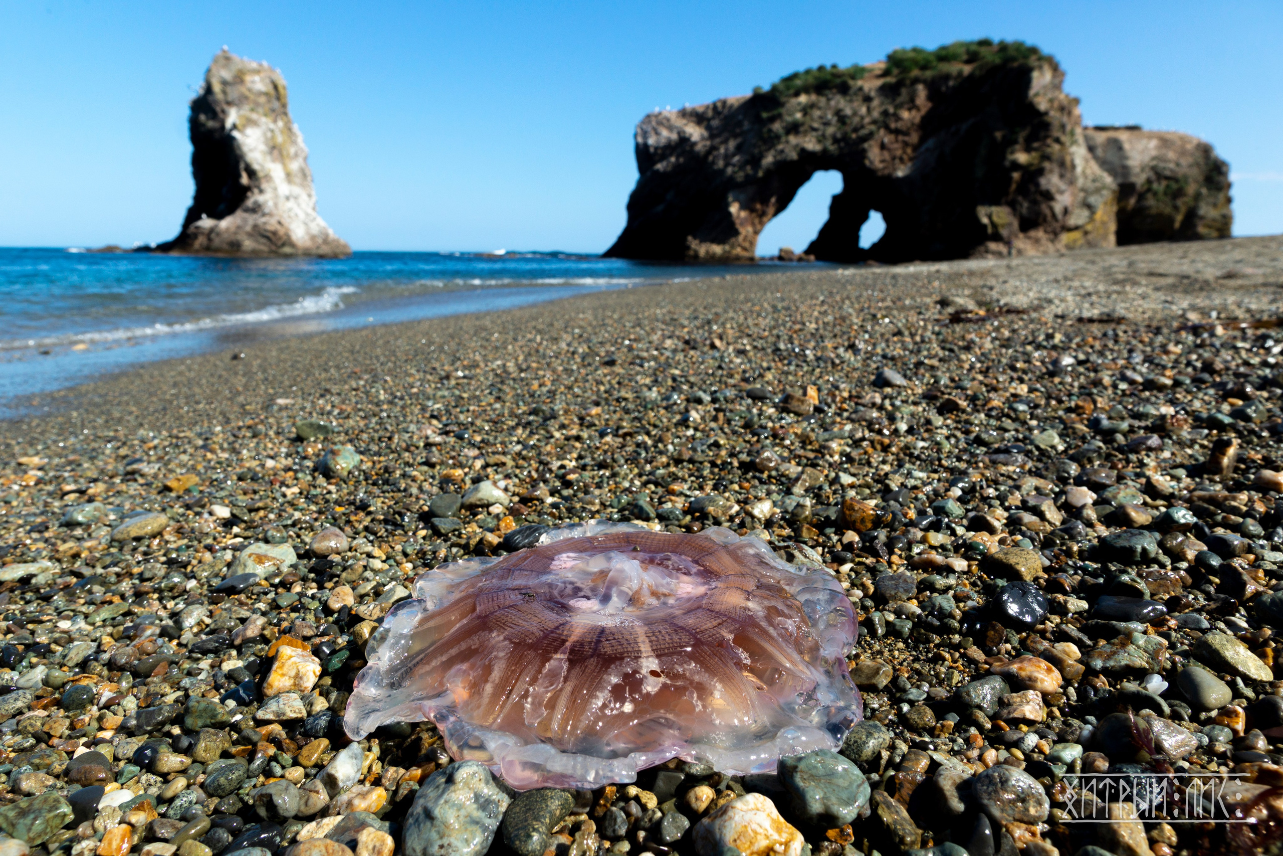 Сахалин. Фотограф-путешественник Самойлов Максим «Sly Fox»