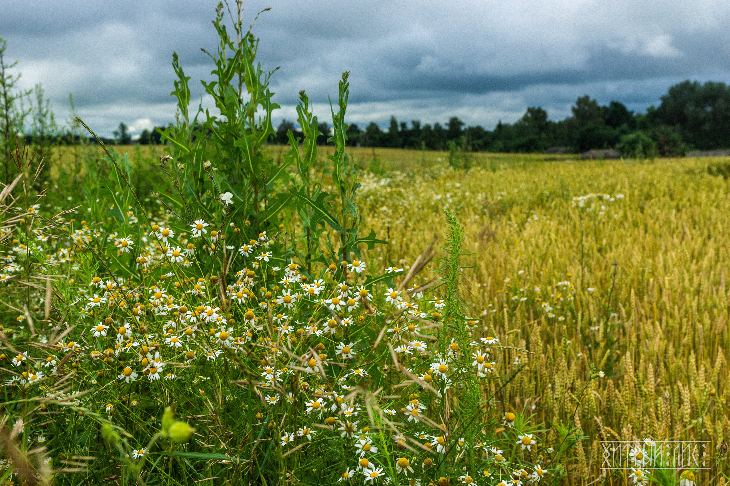 Беларусь. Фотограф-путешественник Самойлов Максим «Sly Fox»