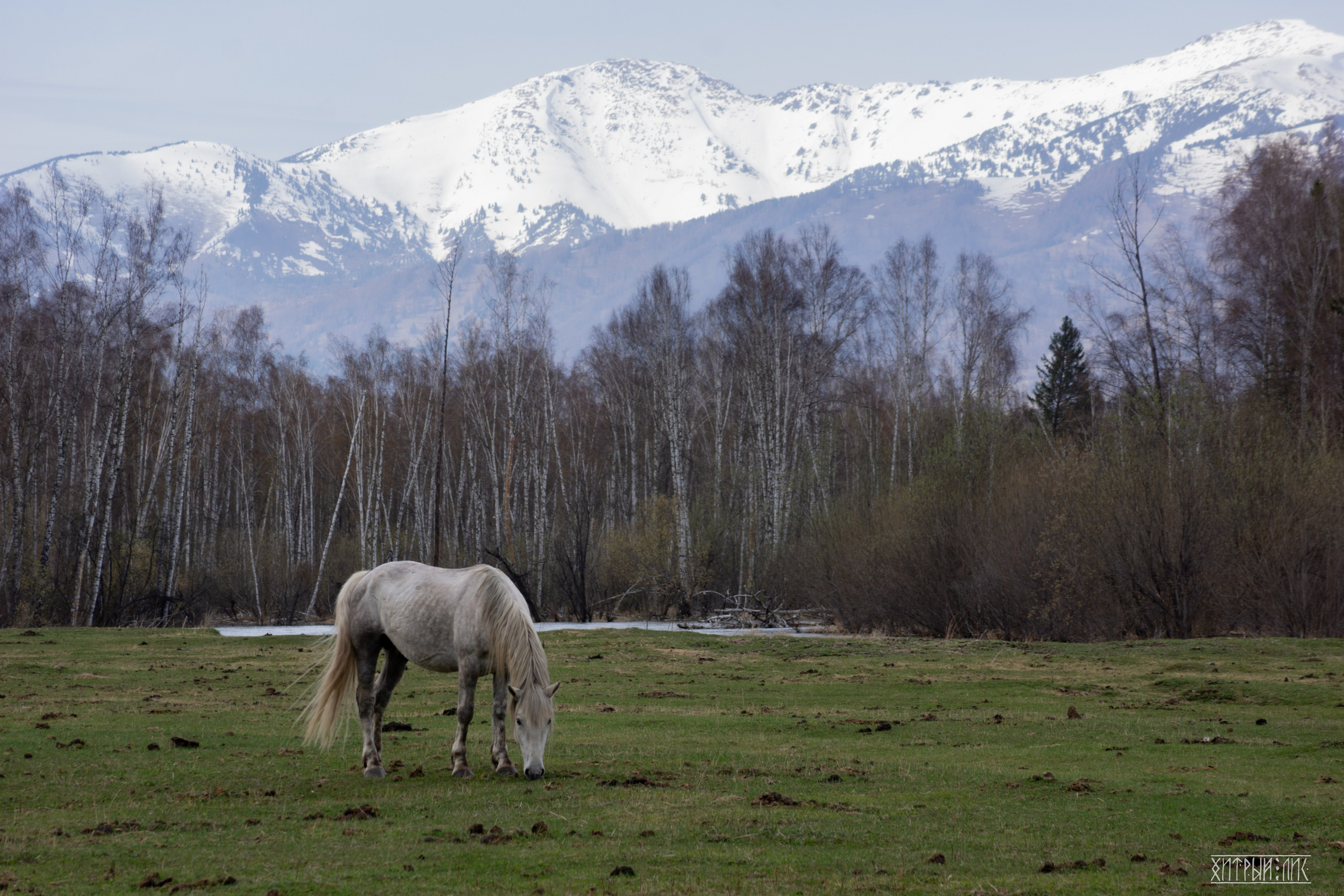 Алтай. Фотограф-путешественник Самойлов Максим «Sly Fox»