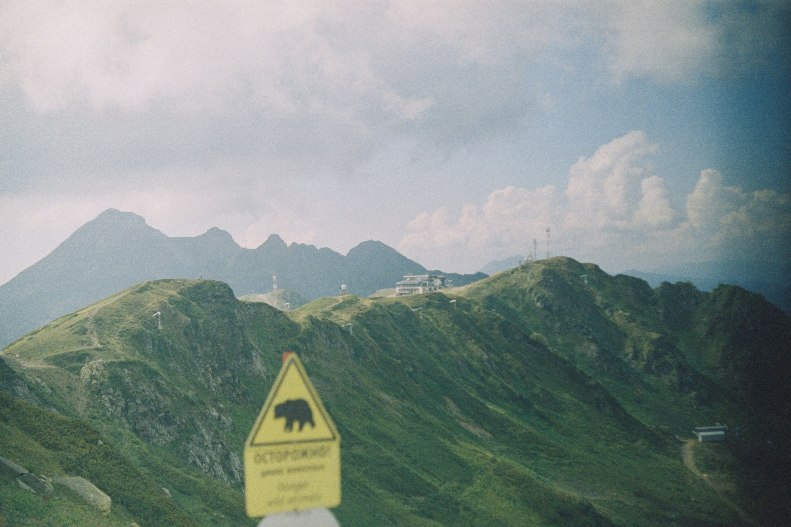 Sochi \ august 2022 \ film 35. Коммерческий Фотограф Виктор Фоменых