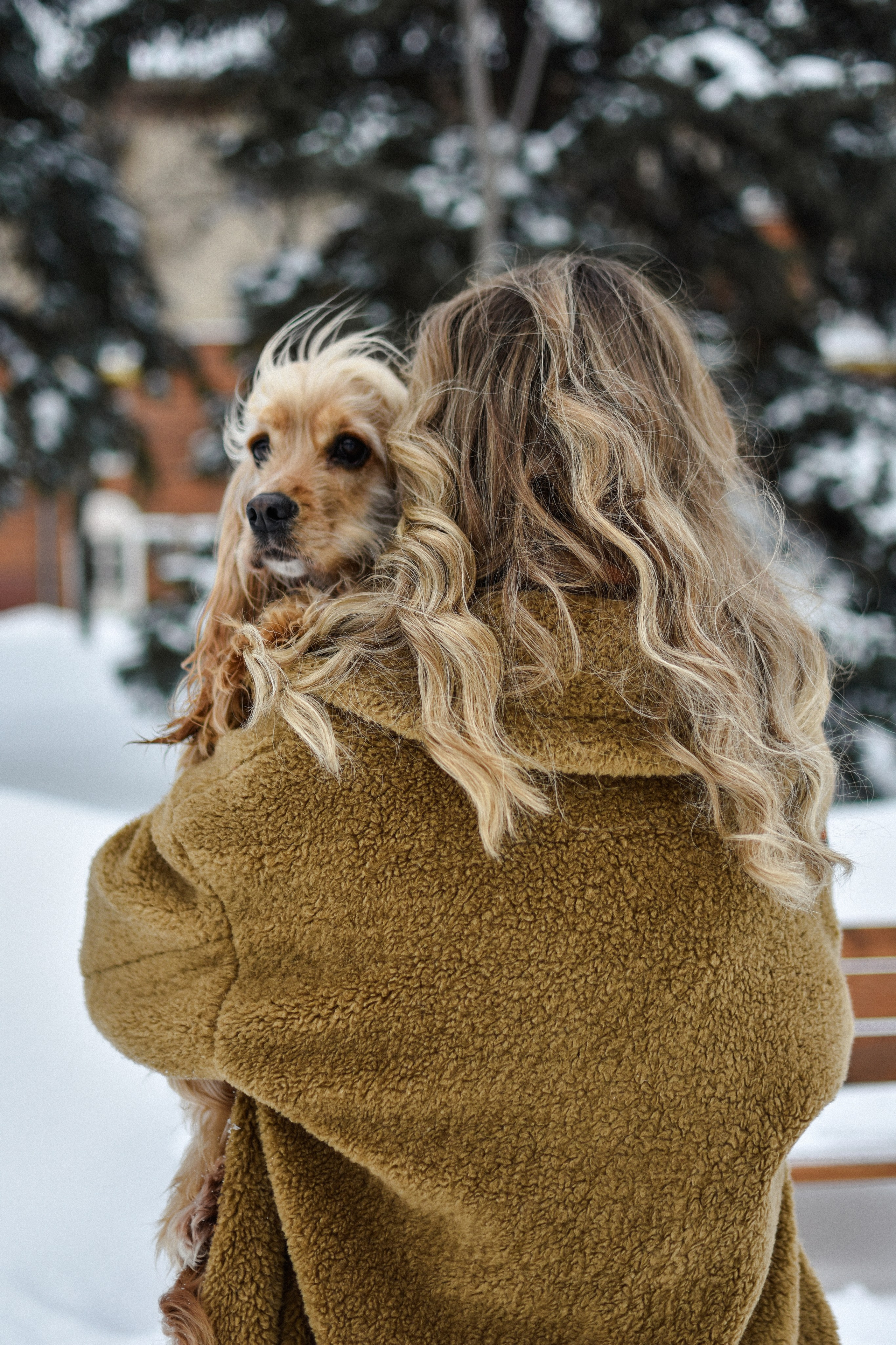 Мира и Даша. Фотограф-анималист Ксения Шевцова|Москва