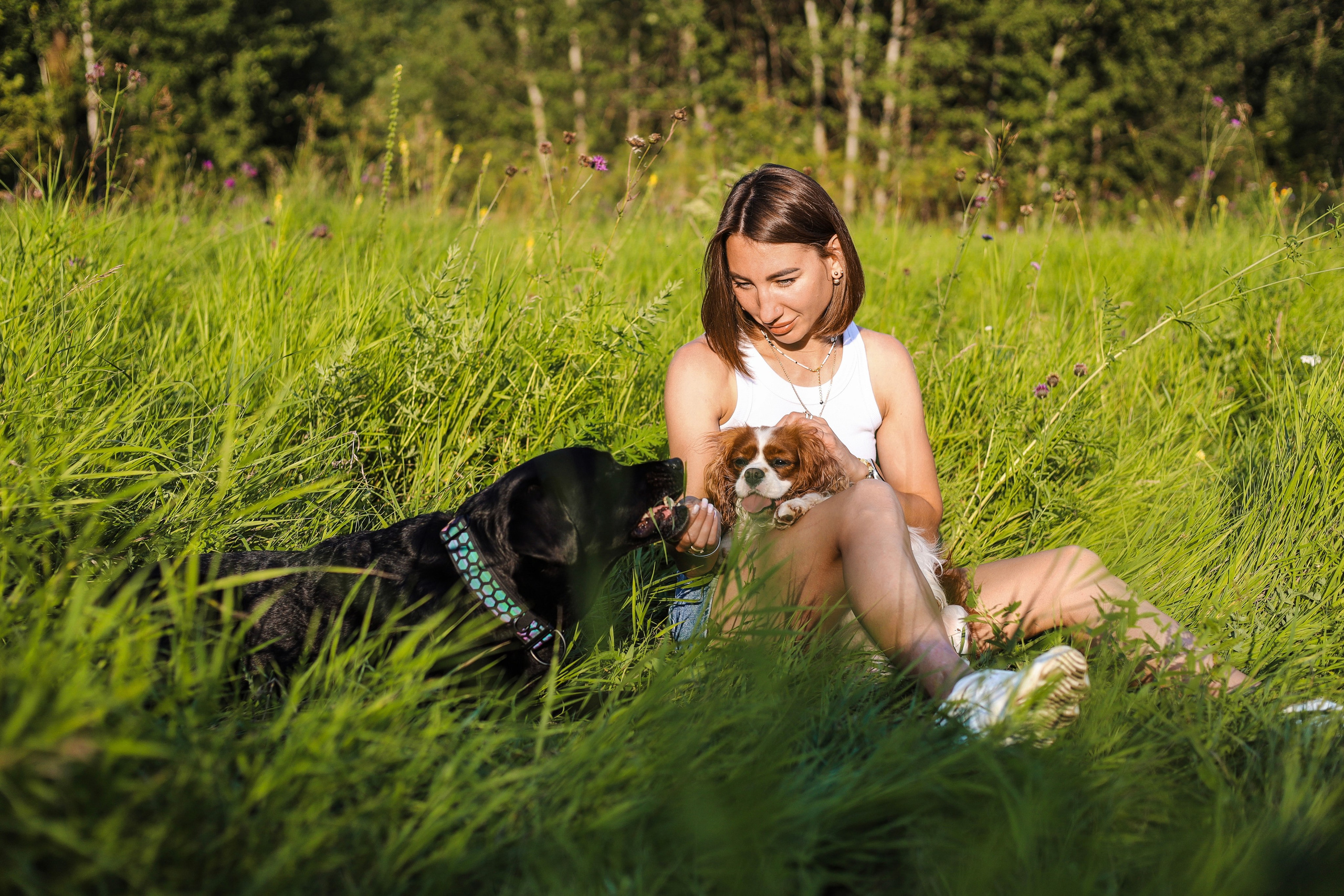 Бонни, Лея и Лера. Фотограф-анималист Ксения Шевцова|Москва