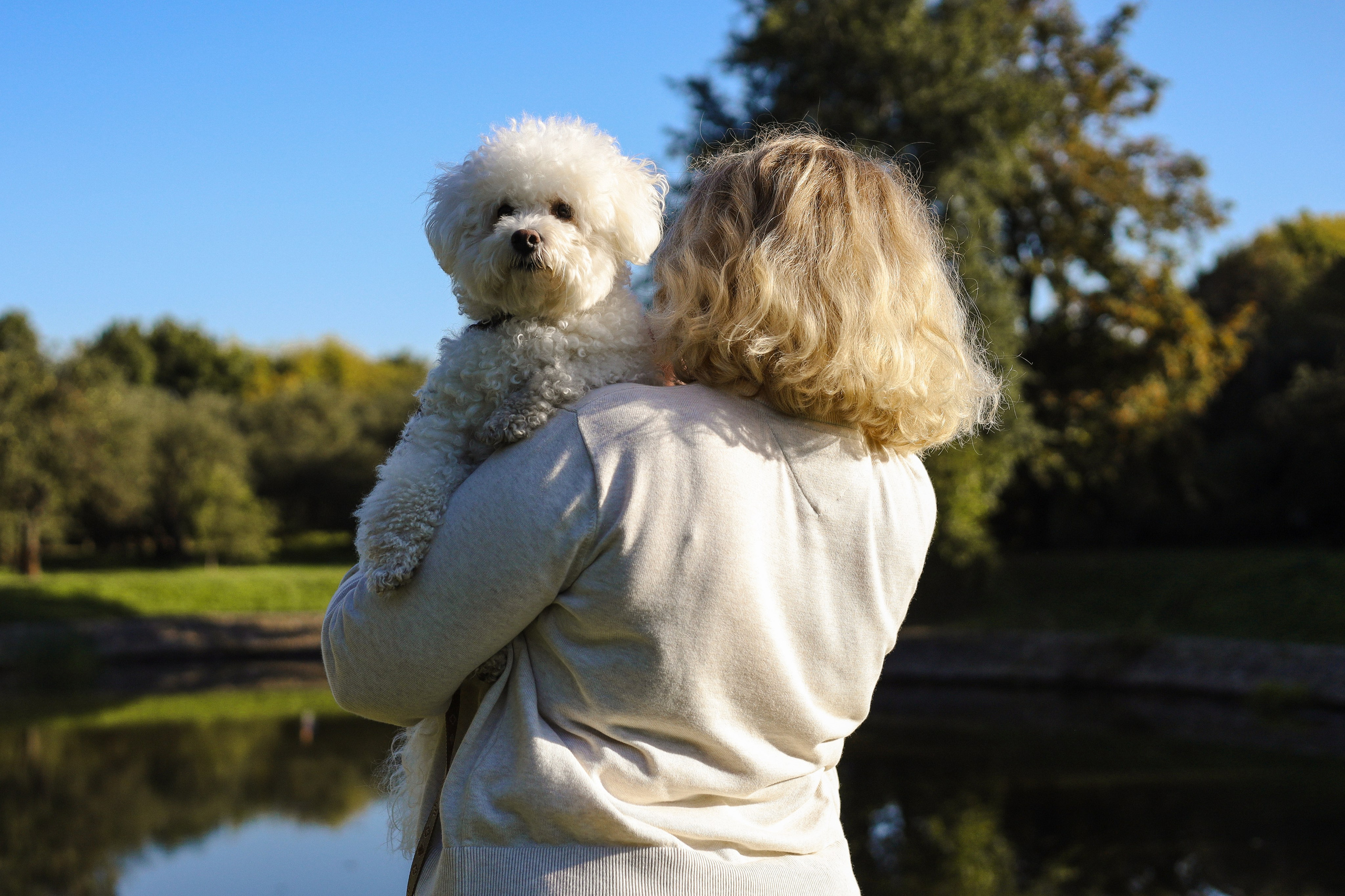 Тимоша, Катя и Вова. Фотограф-анималист Ксения Шевцова|Москва